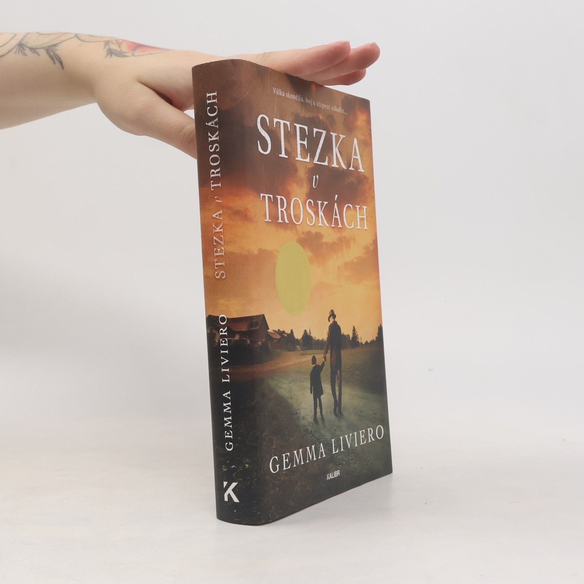 Gemma Liviero Stezka v troskách
