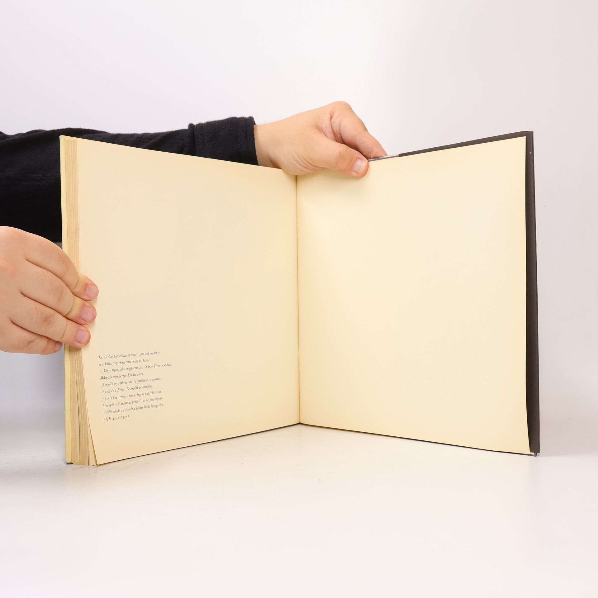 Autorenkollektiv Genezis. Szalay Lajos rajzai