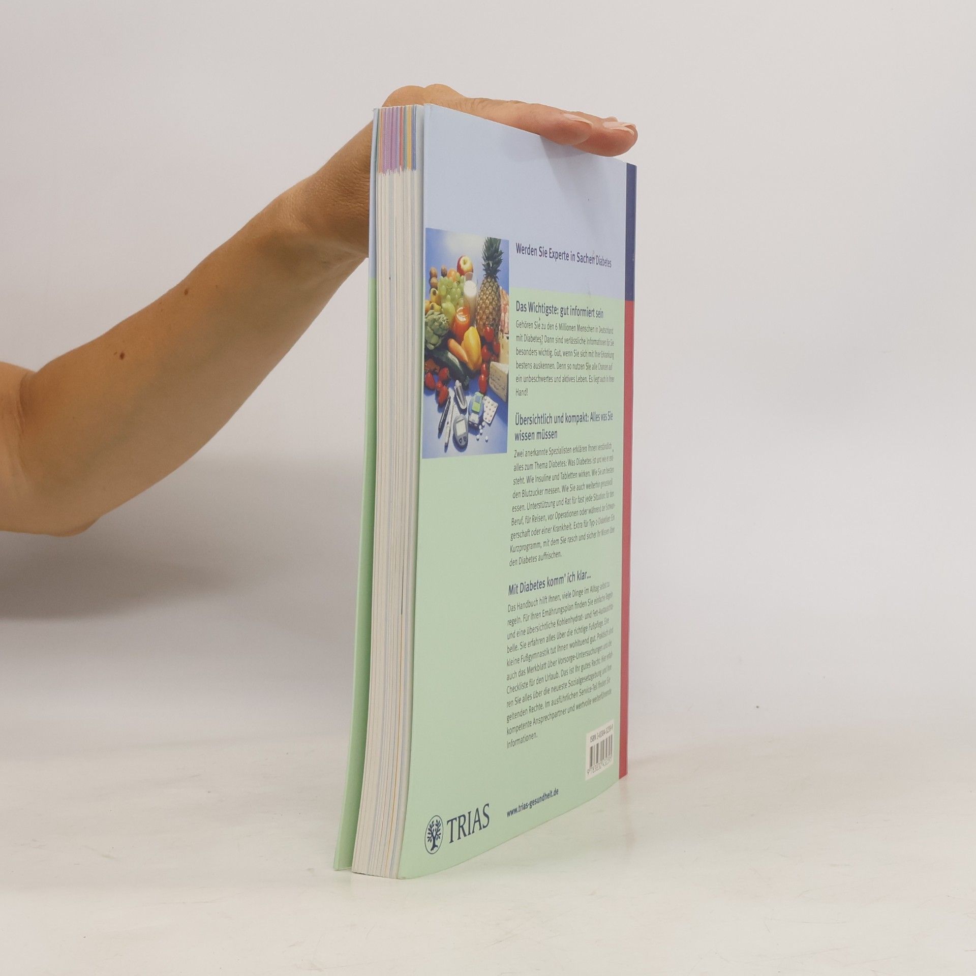 Eberhard Standl Das große TRIAS-Handbuch für Diabetiker