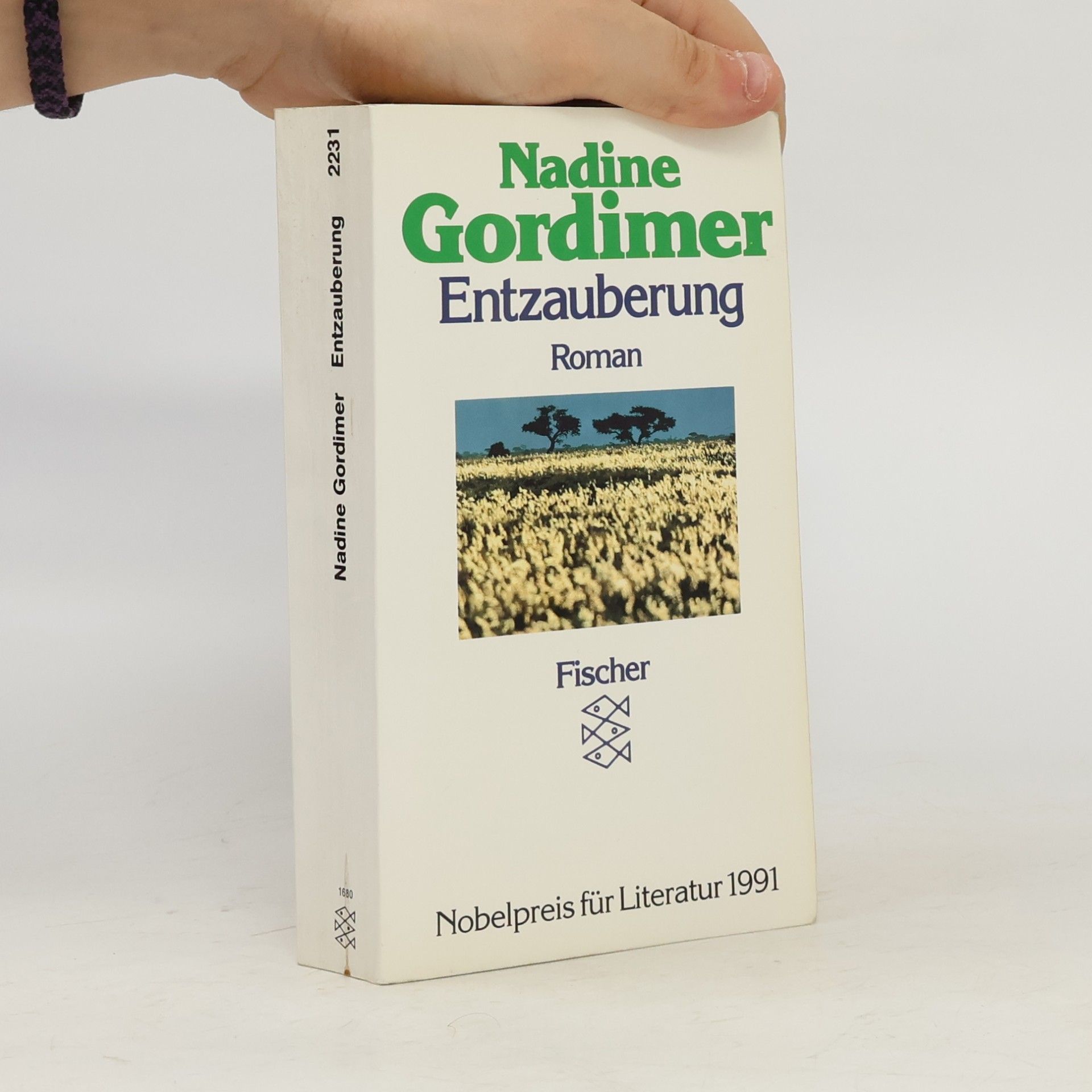 Nadine Gordimer Entzauberung
