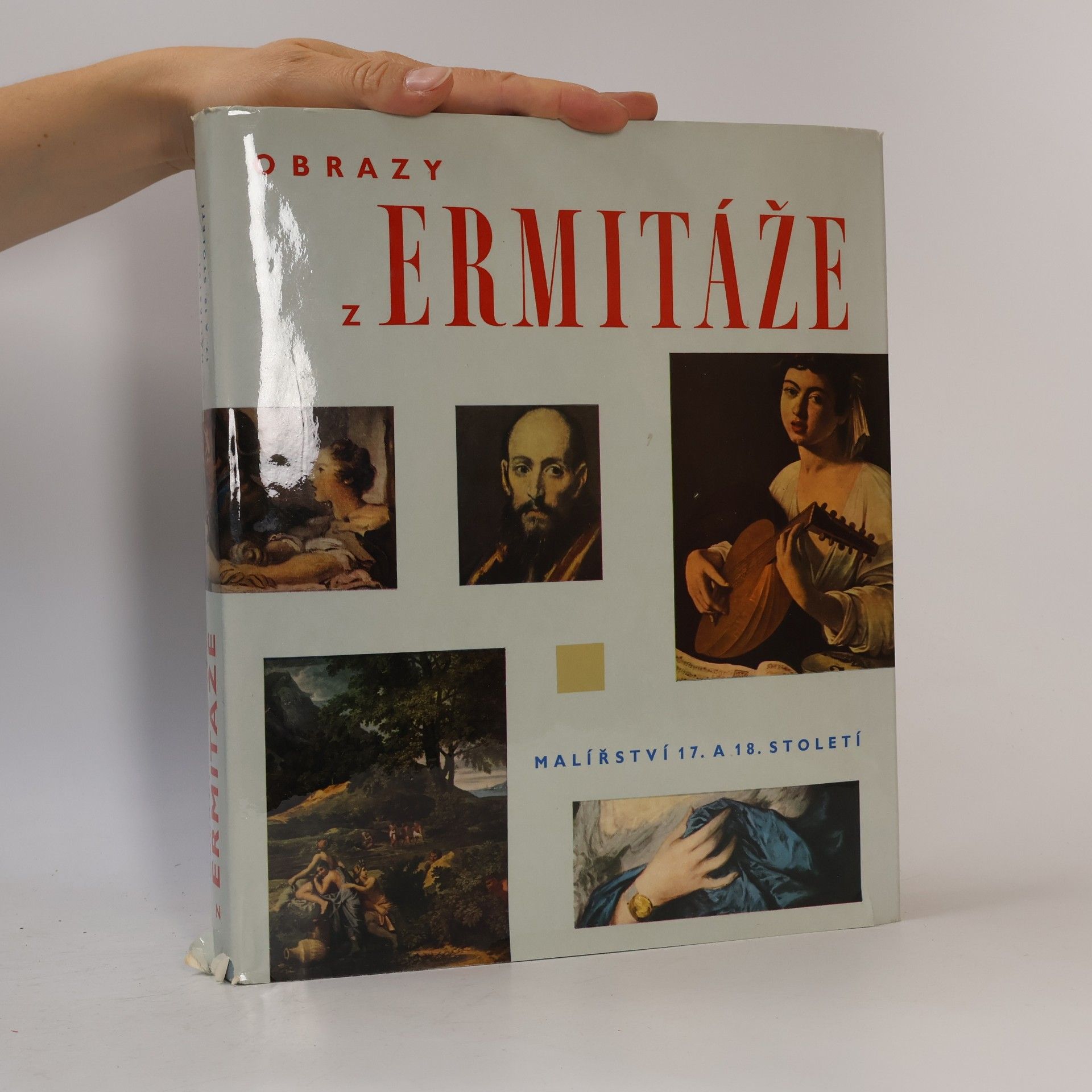 Autorenkollektiv Obrazy z Ermitáže. Malířství 17. a 18. století