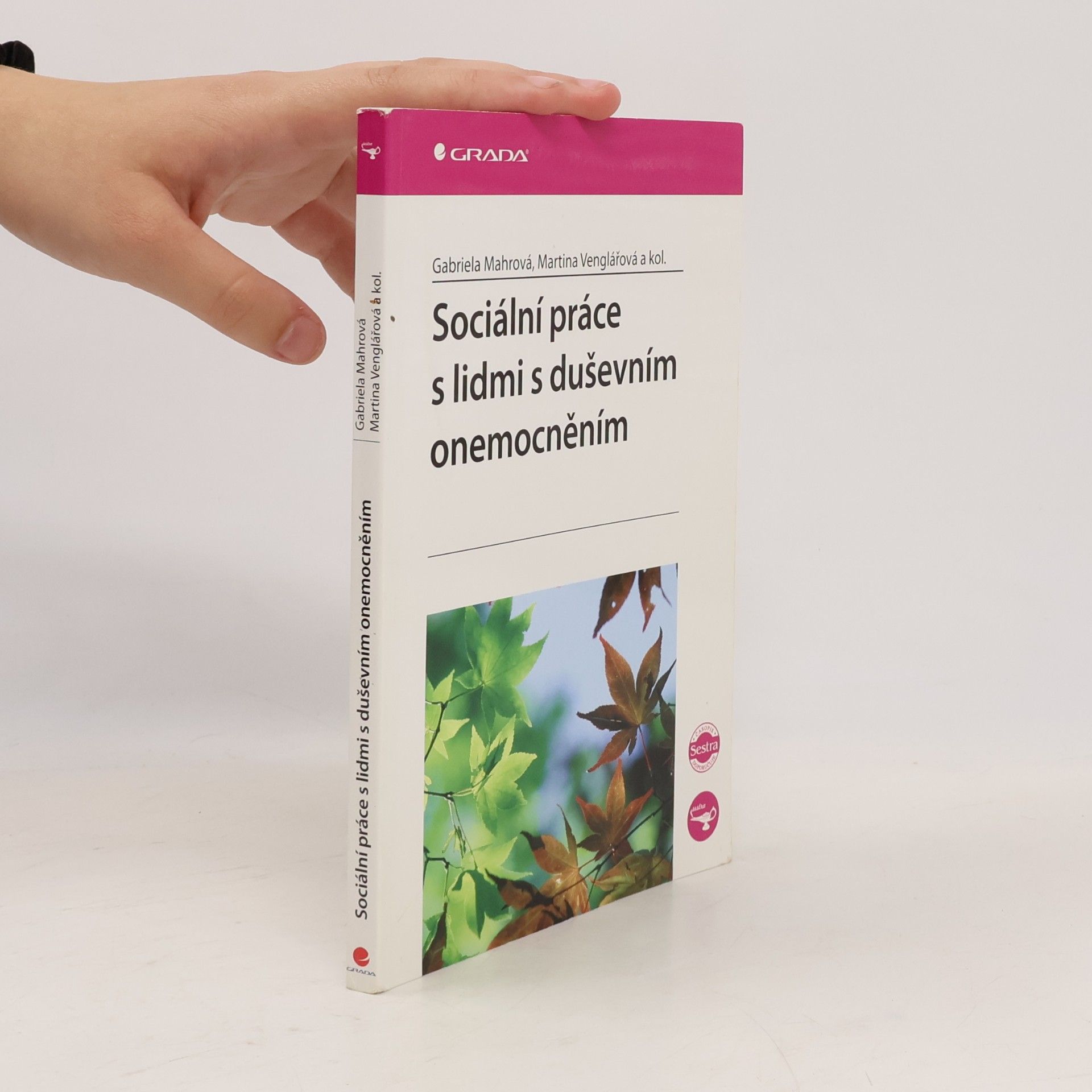 Sociální práce s lidmi s duševním onemocněním