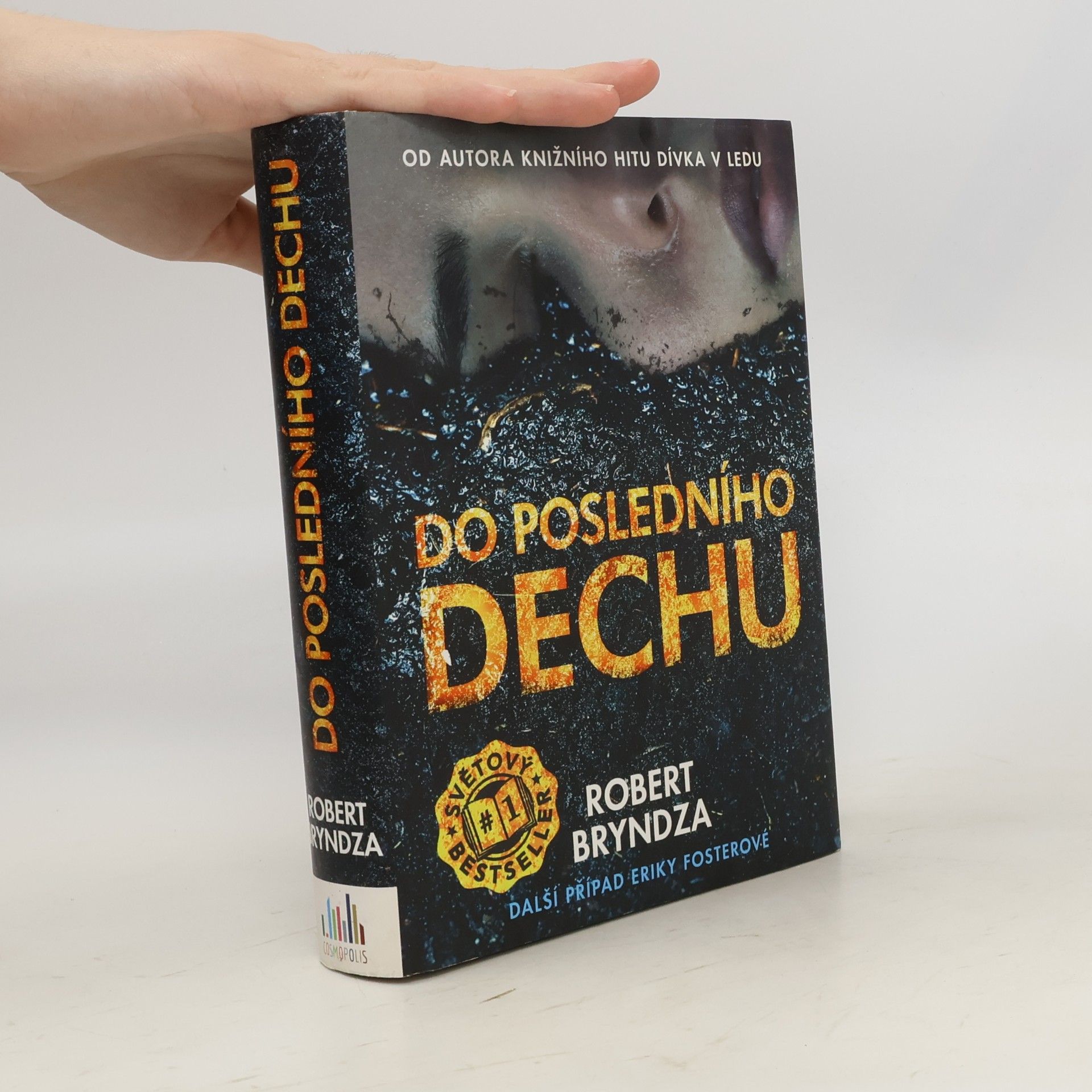 Robert Bryndza Do posledního dechu