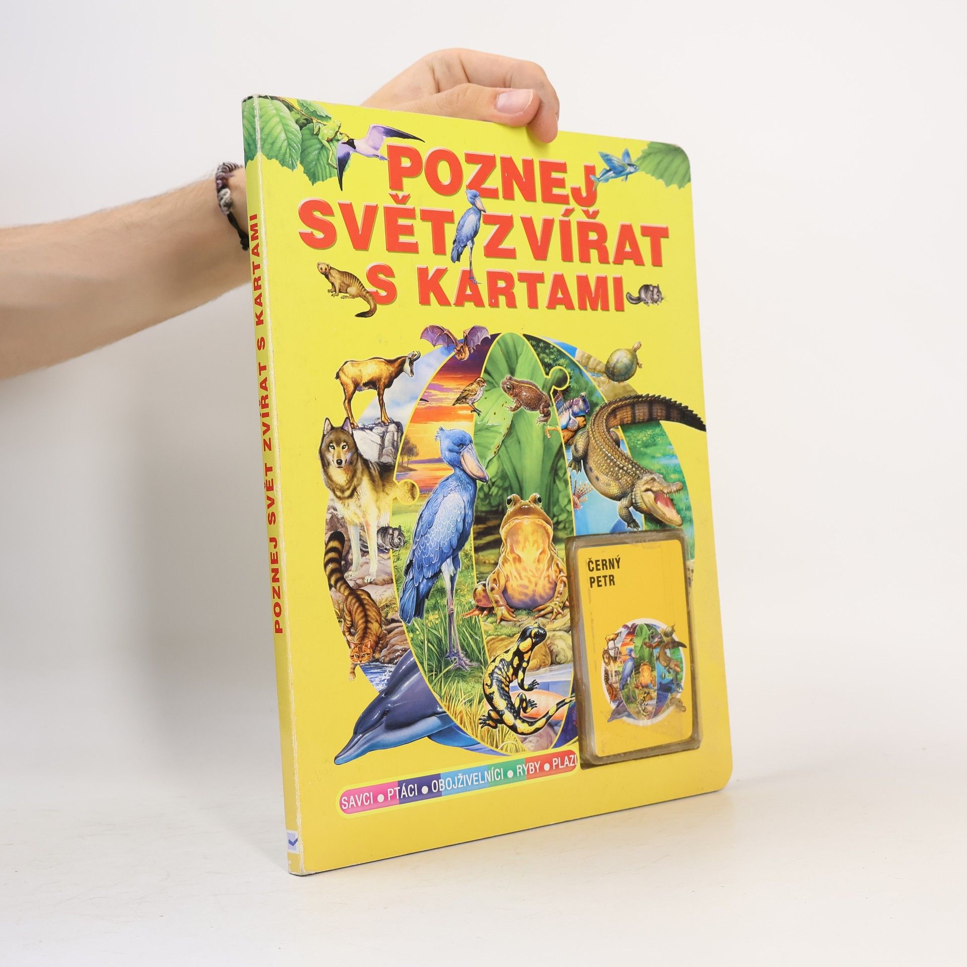 Anna Xawery Zyndwalewicz Poznej svět zvířat s kartami