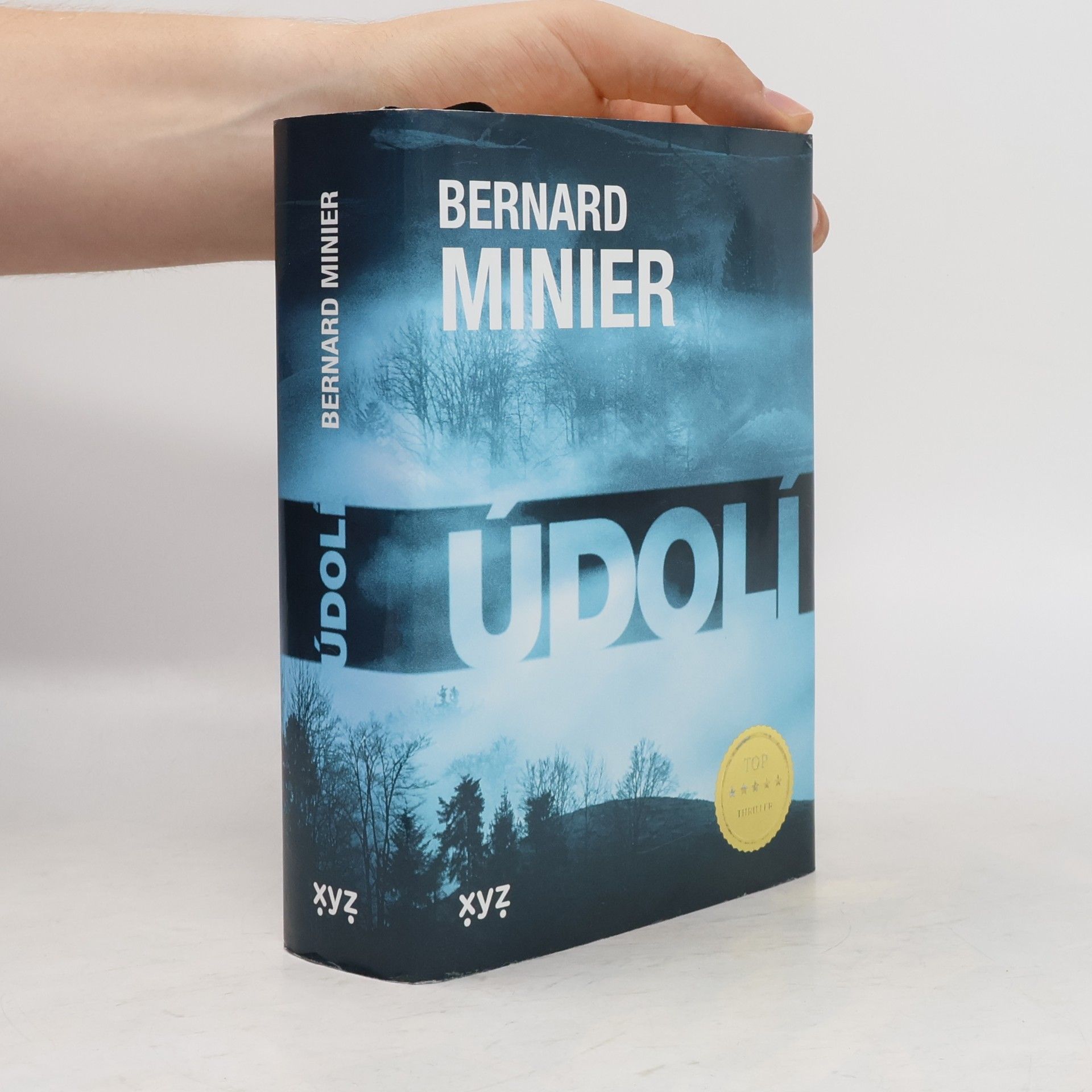 Bernard Minier Údolí