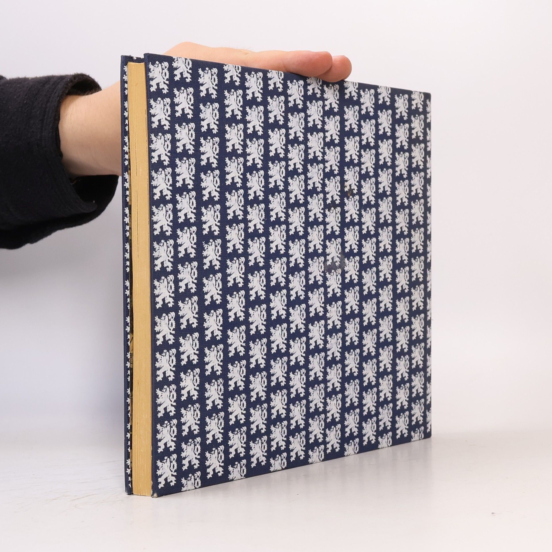 Sonja Kalina Das Kochbuch aus der Tschechoslowakei