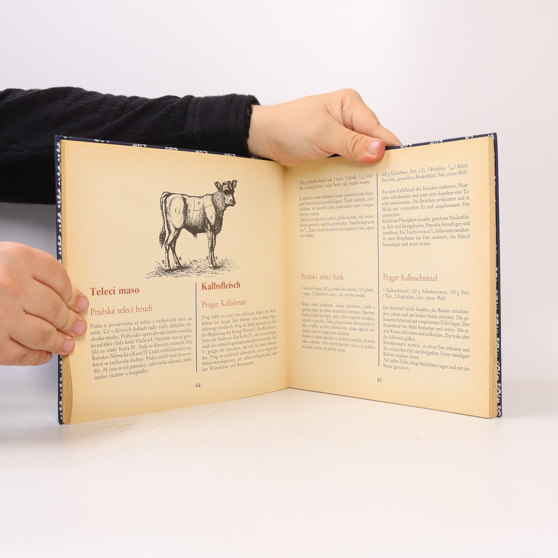 Sonja Kalina Das Kochbuch aus der Tschechoslowakei