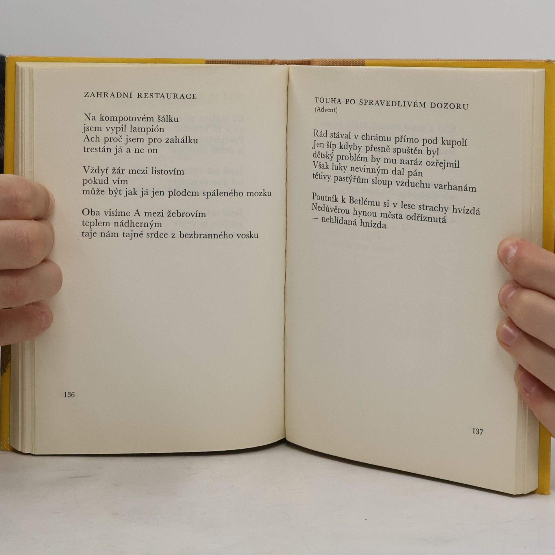 Karel Sýs Rodné číslo Homéra. Výbor z poezie 1962-1983