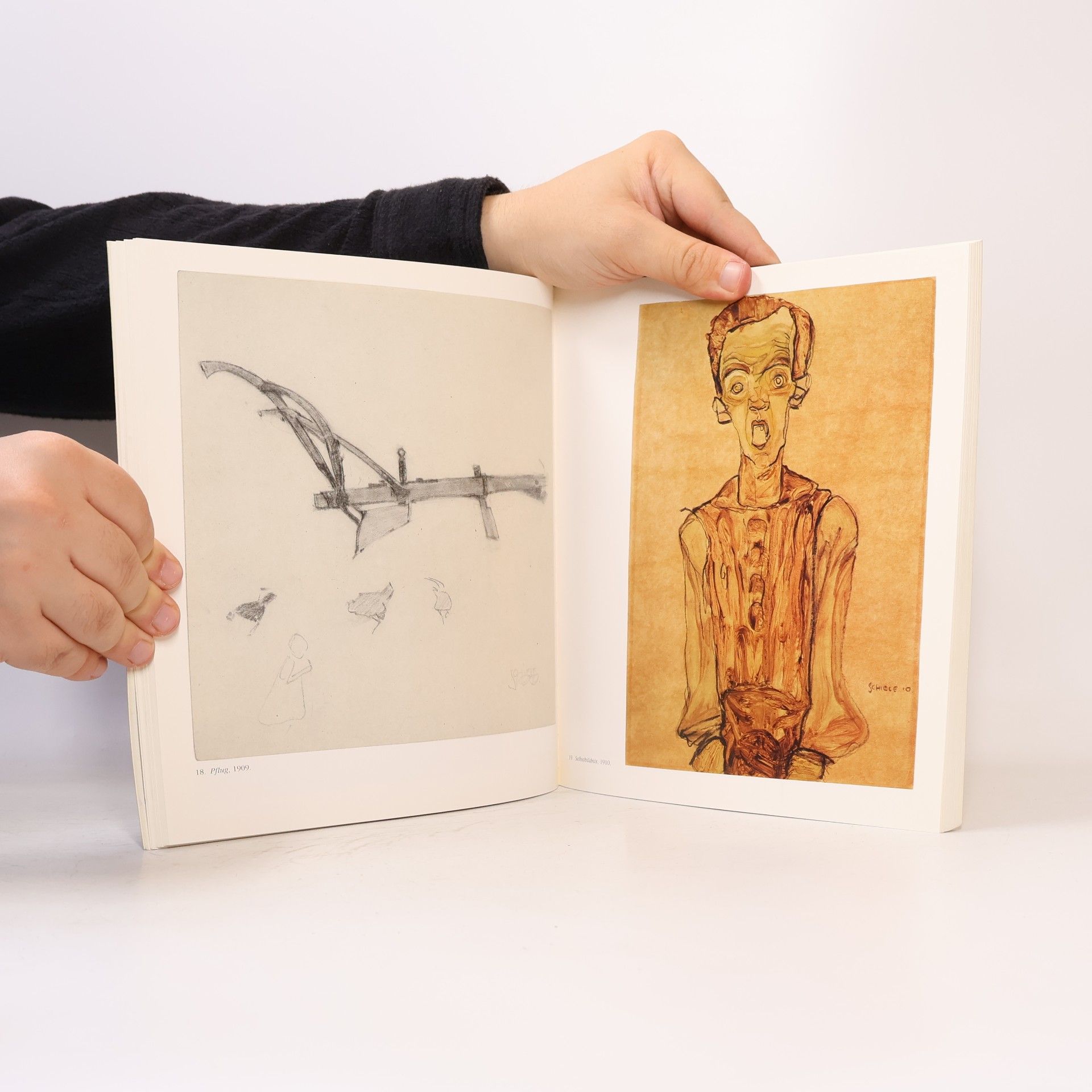 Serge Sabarsky Egon Schiele. Vom Schüler zum Meister