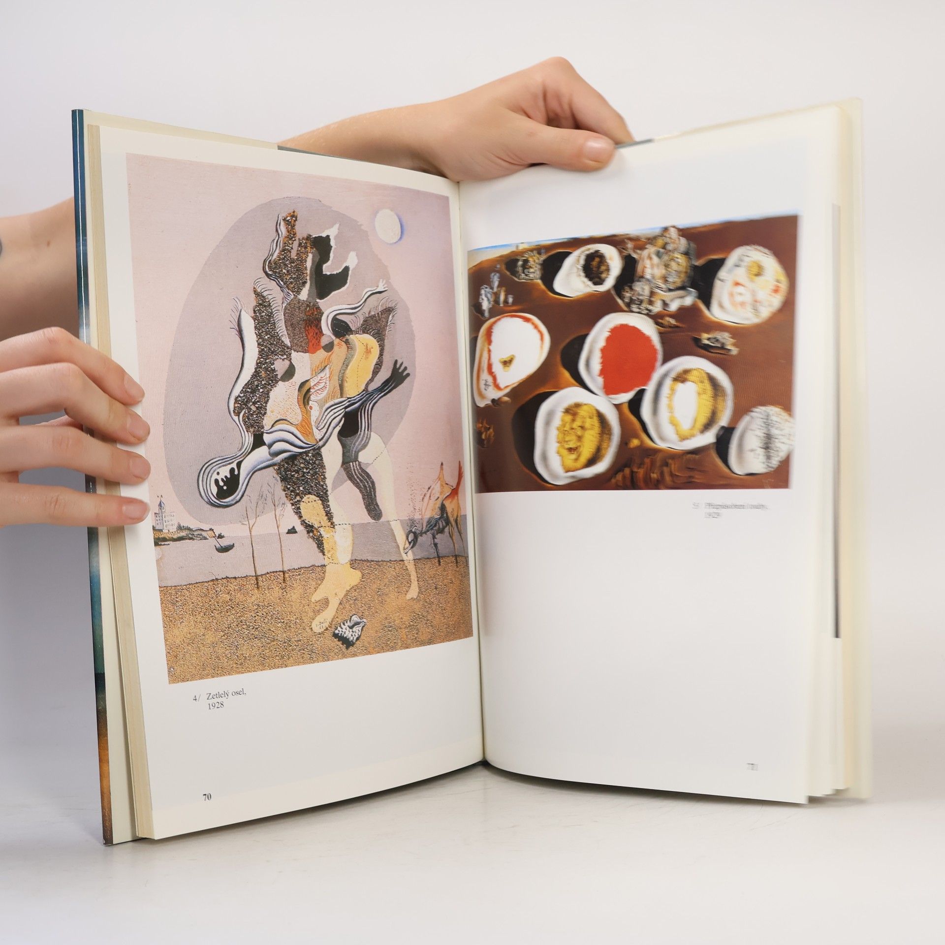 Cesáreo Rodríguez Aguilera Salvador Dalí