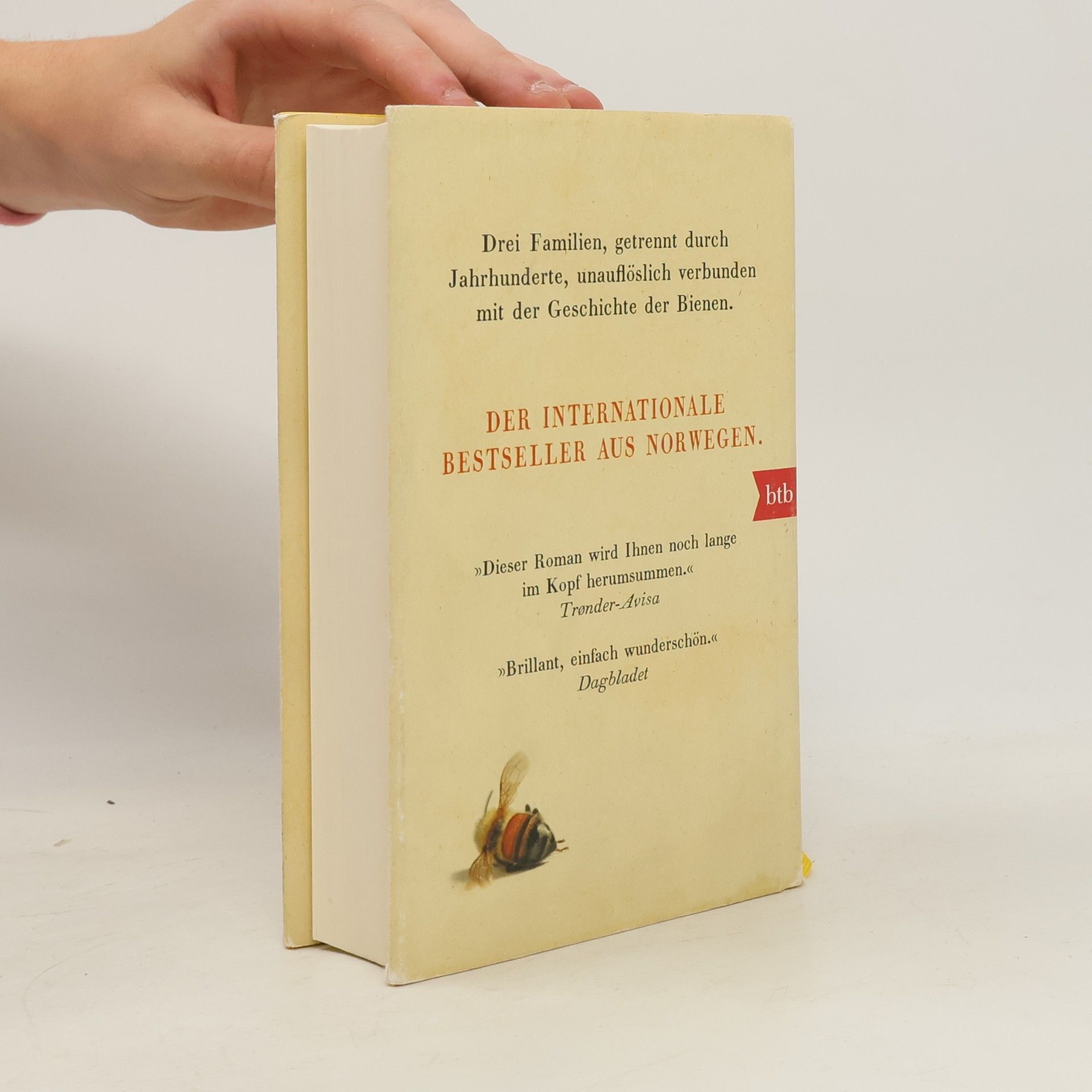 Maja Lunde Die Geschichte der Bienen
