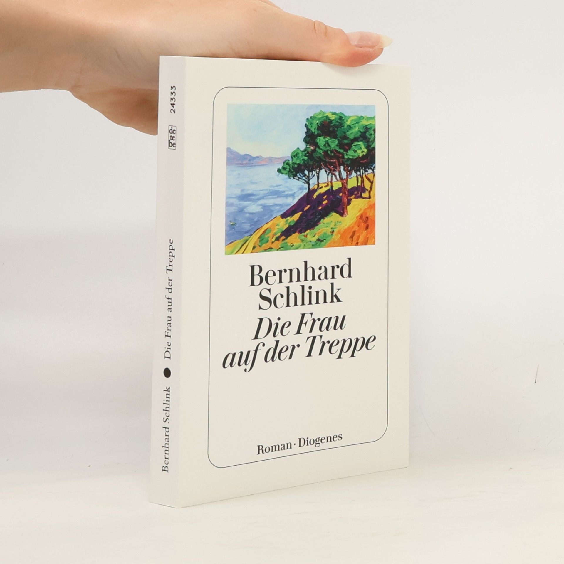 Bernhard Schlink Die Frau auf der Treppe