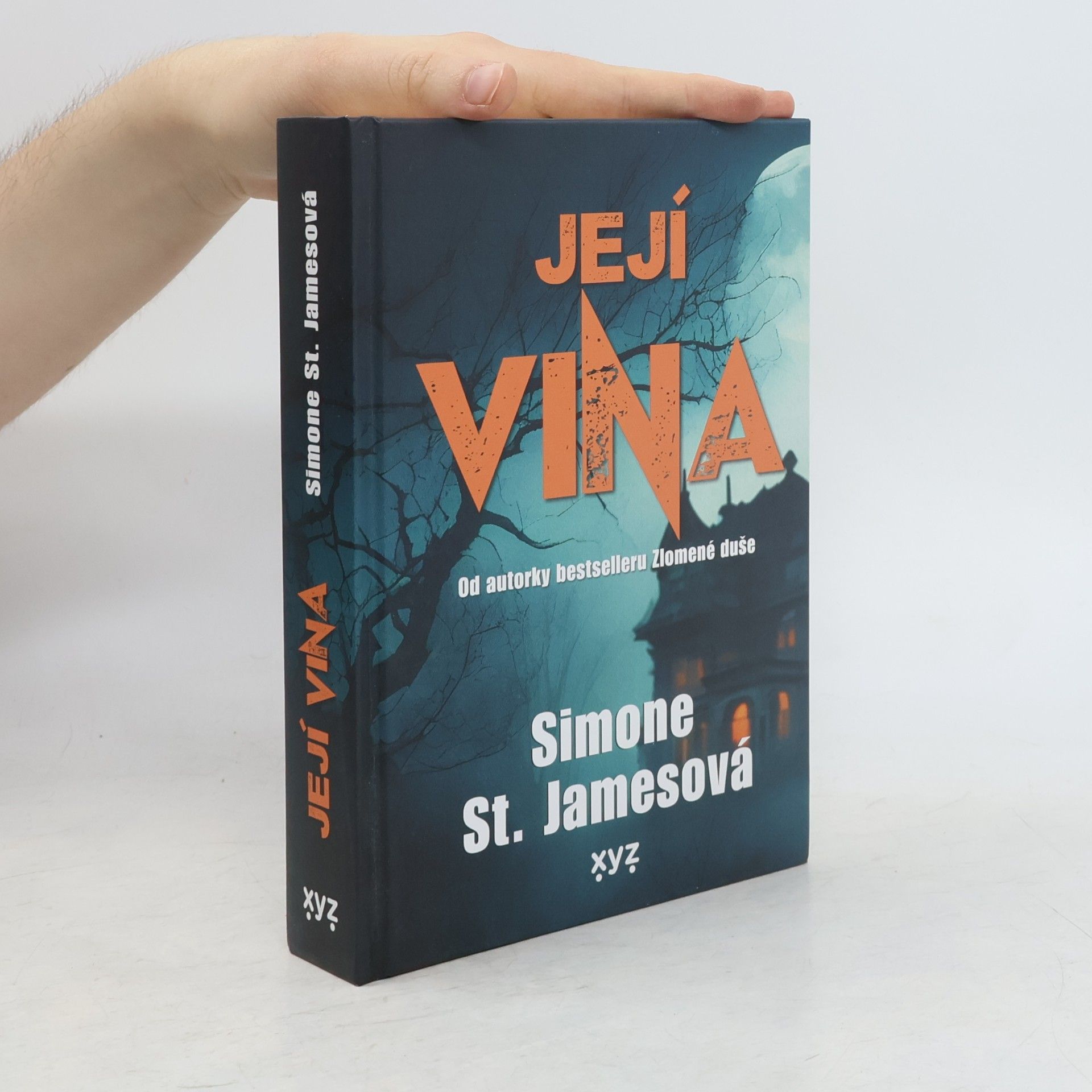 Simone St. James Její vina