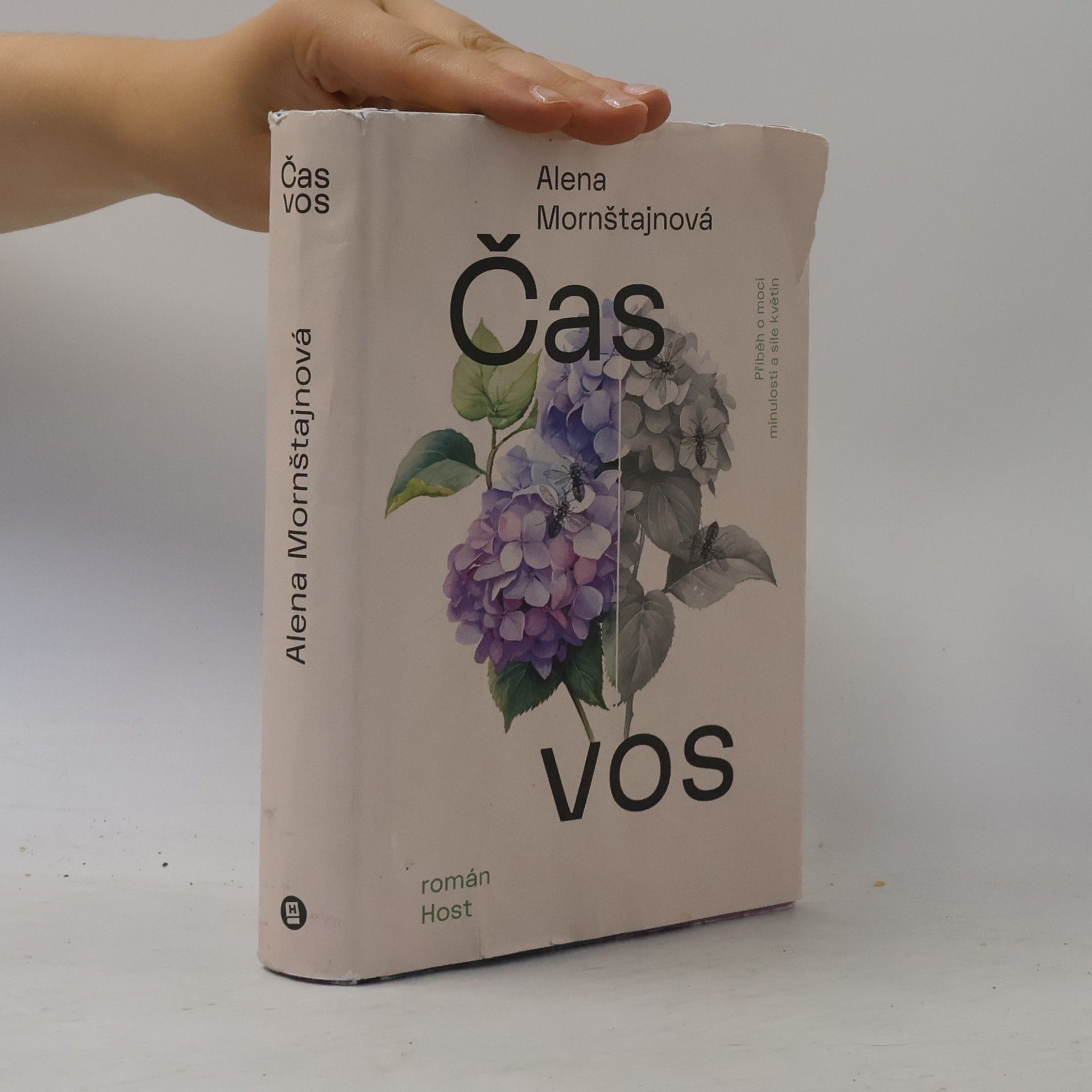 Alena Mornštajnová Čas vos