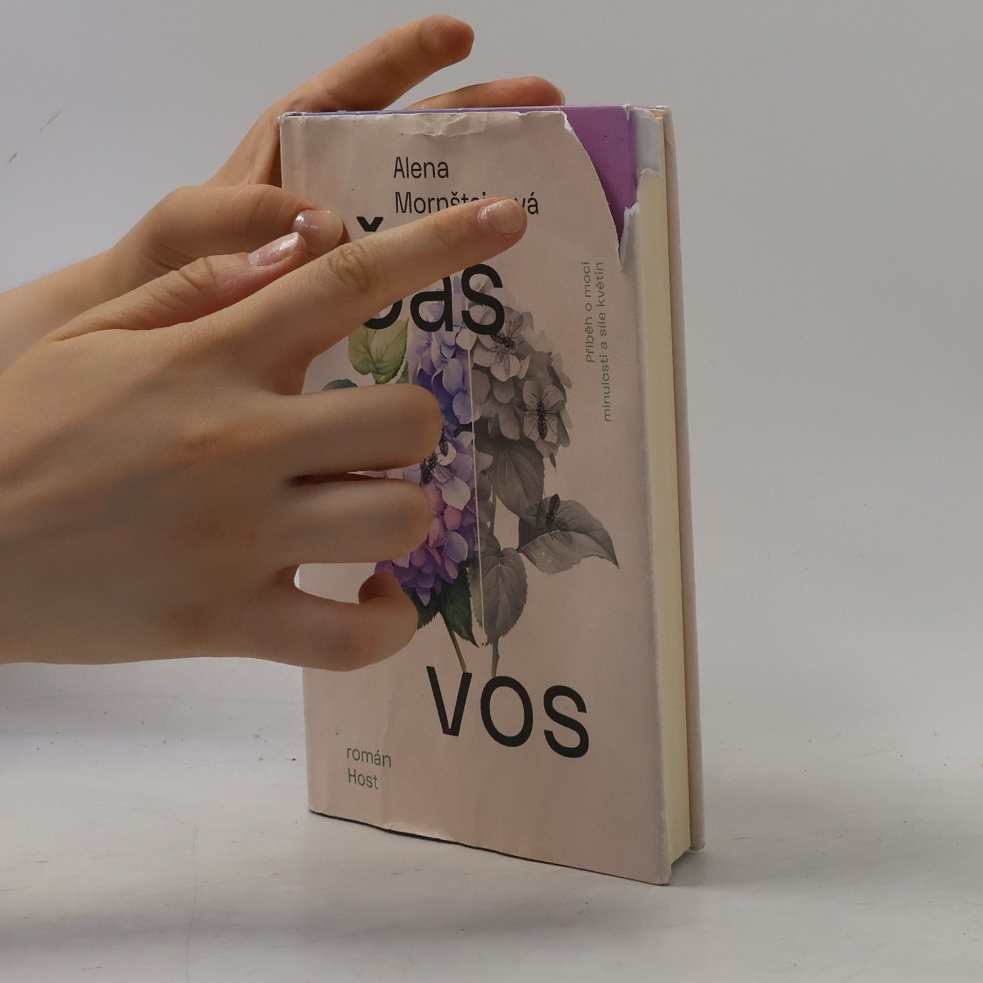 Alena Mornštajnová Čas vos