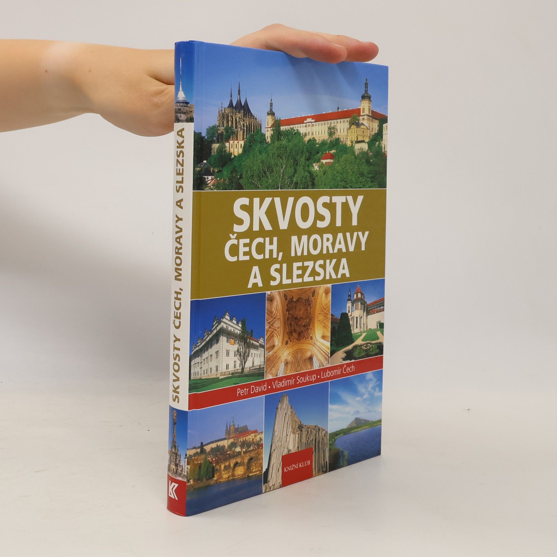 Petr David Skvosty Čech, Moravy a Slezska