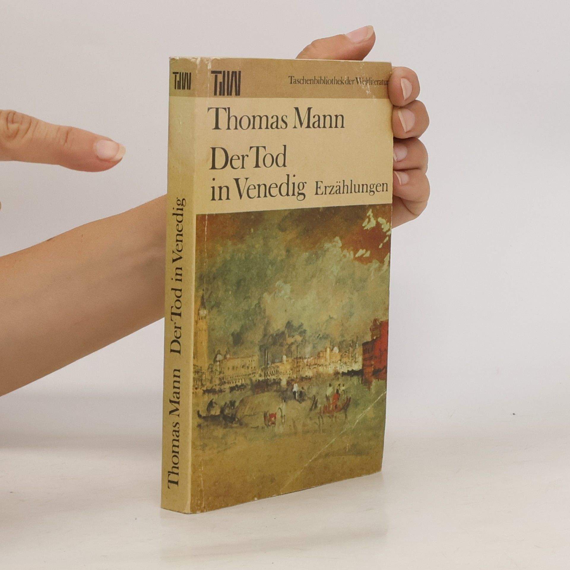 Thomas Mann Der Tod in Venedig