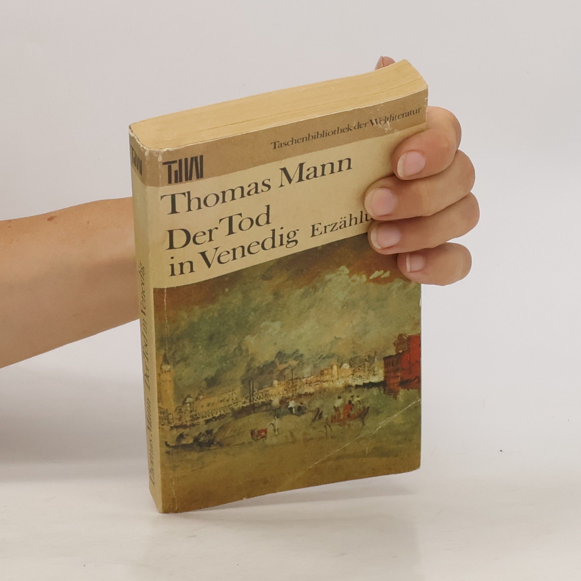 Thomas Mann Der Tod in Venedig