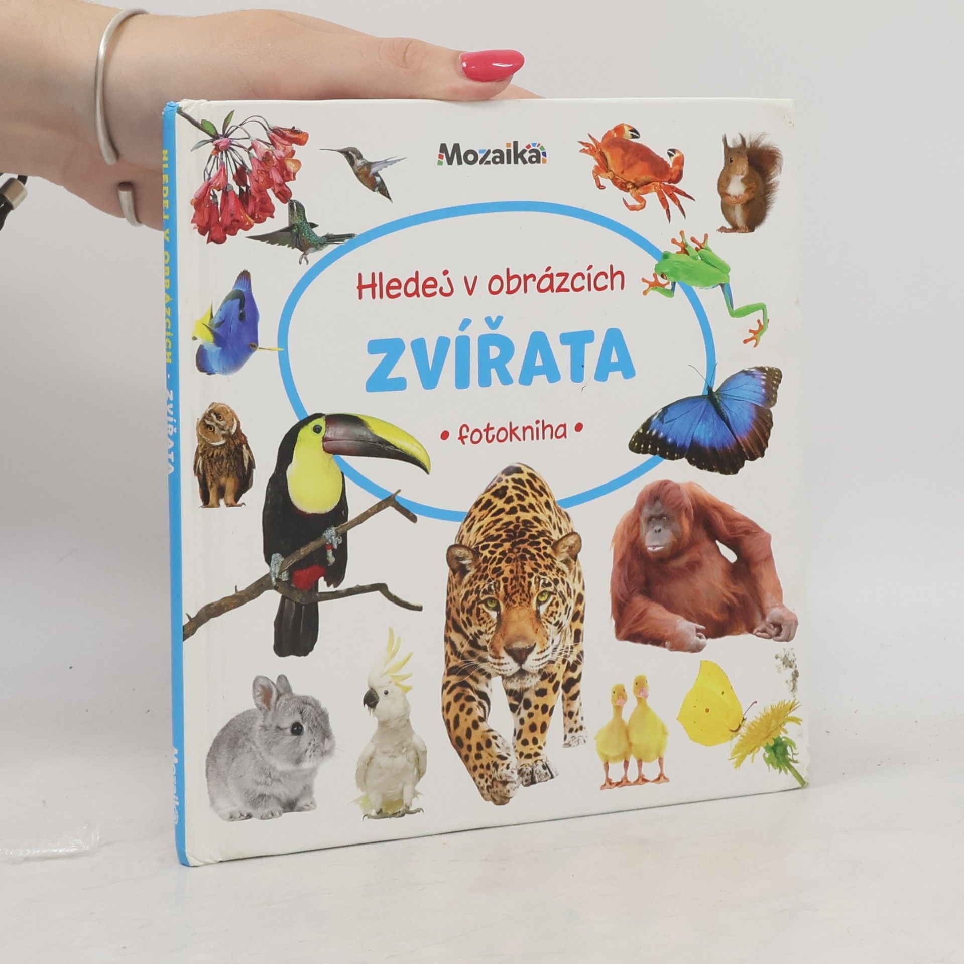 Kolektiv autorů Hledej v obrázcích: Zvířata (fotokniha)