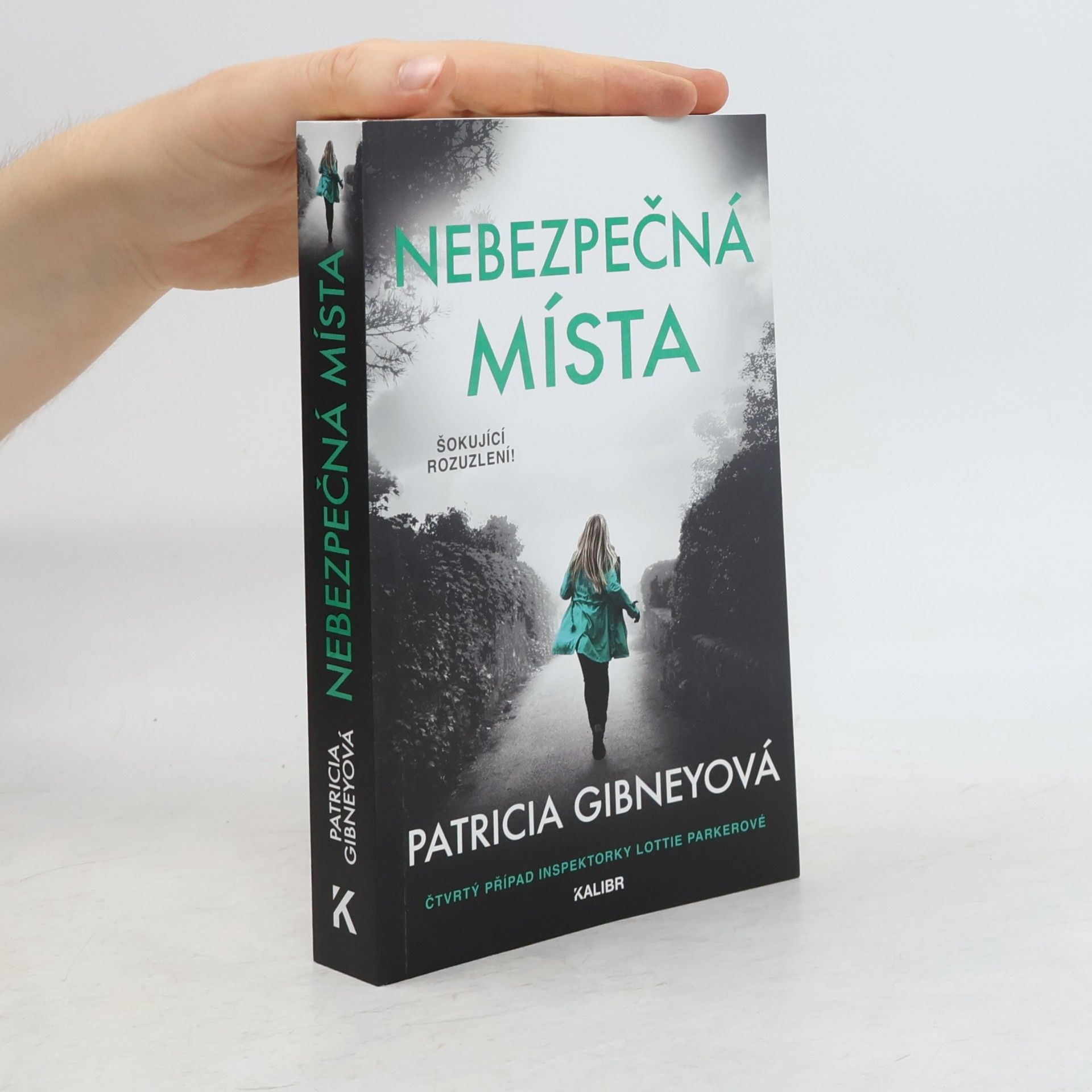 Patricia Gibney Nebezpečná místa