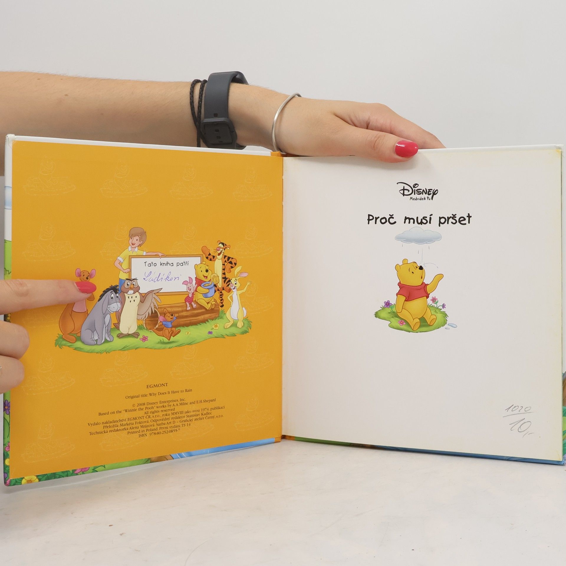 Walt Disney Medvídek Pú - Proč musí pršet