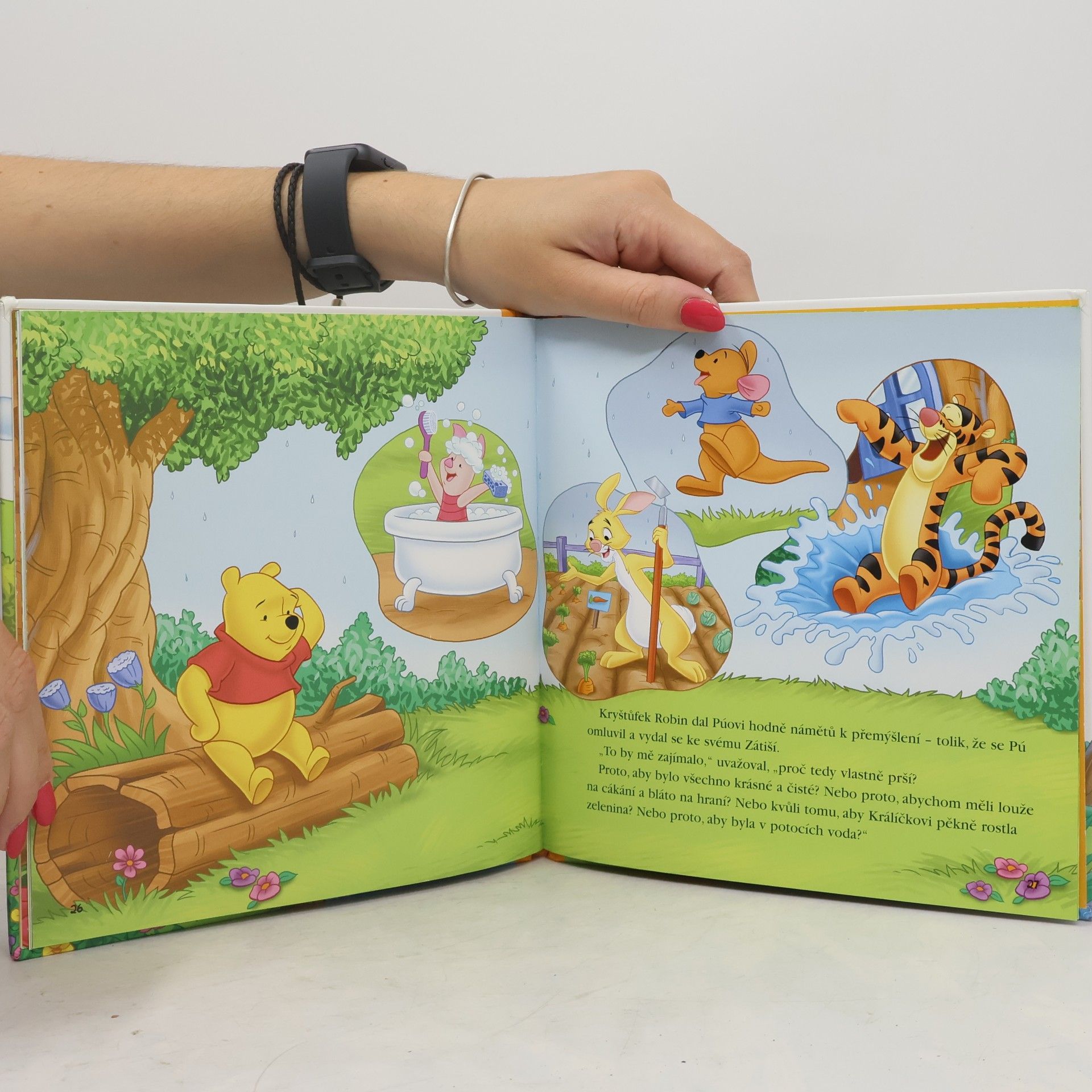 Walt Disney Medvídek Pú - Proč musí pršet