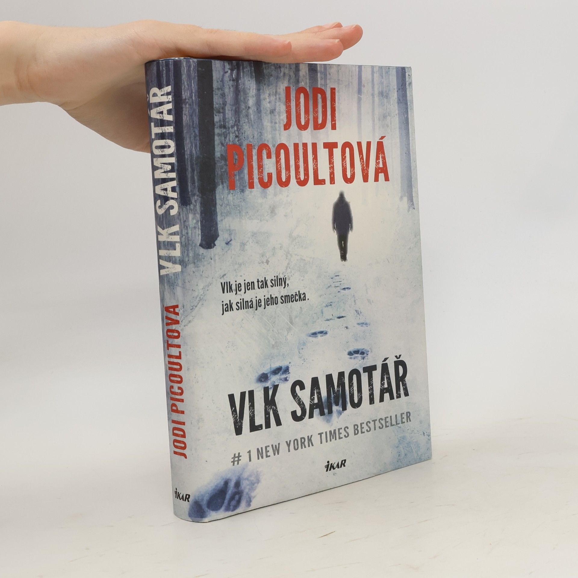 Jodi Picoult Vlk samotář