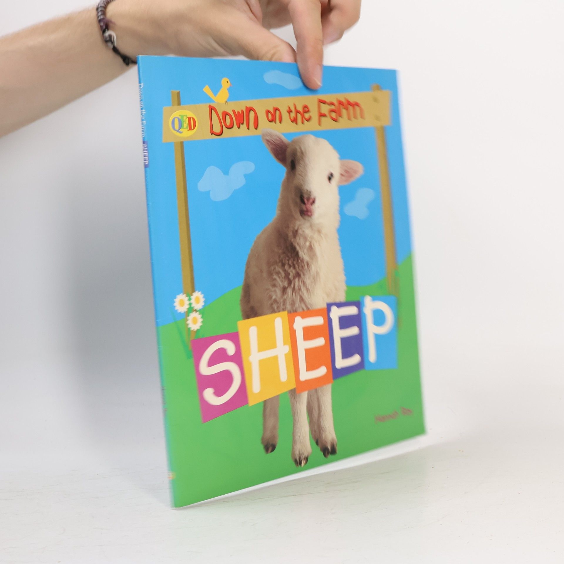Hannah Ray Down on the Farm - Sheep