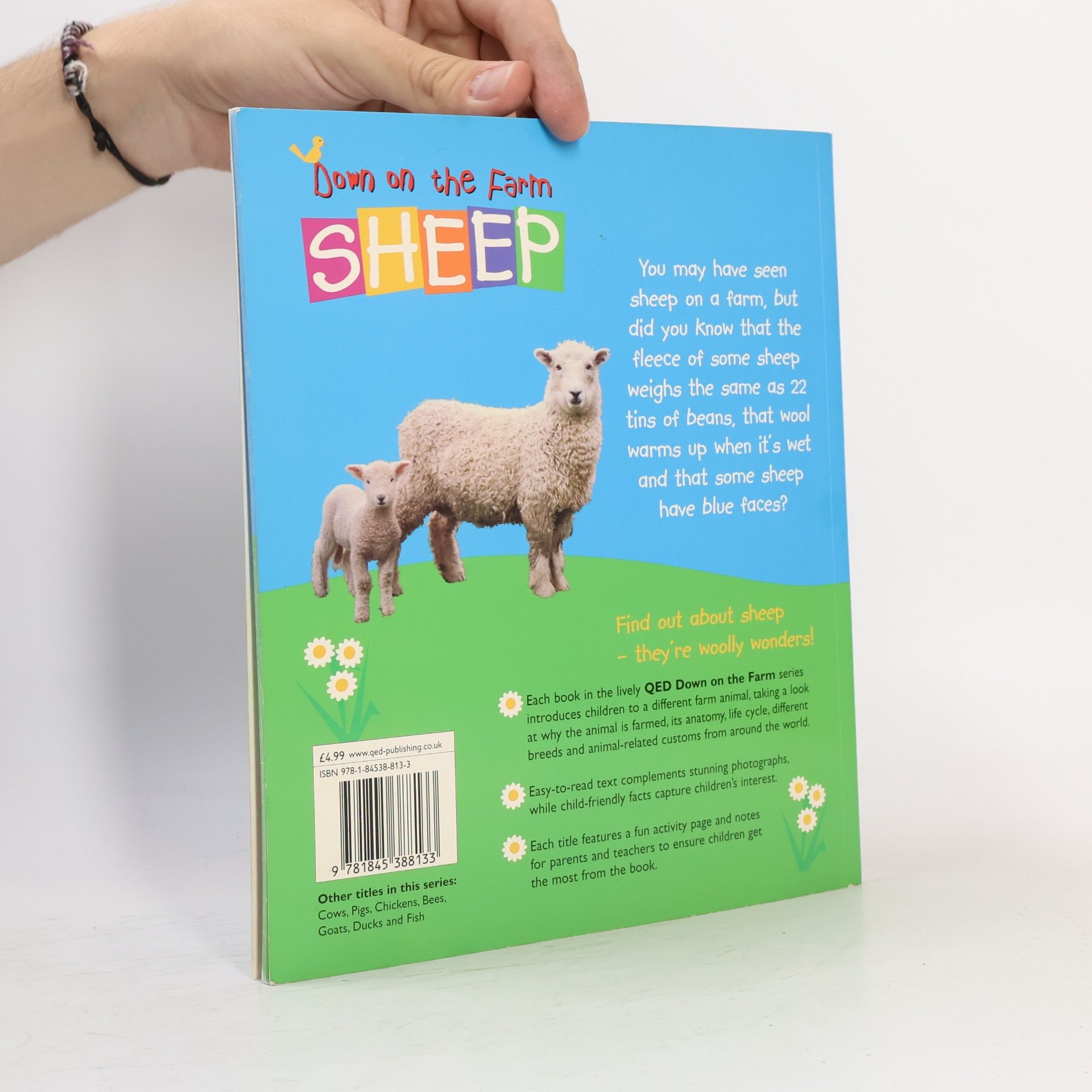 Hannah Ray Down on the Farm - Sheep