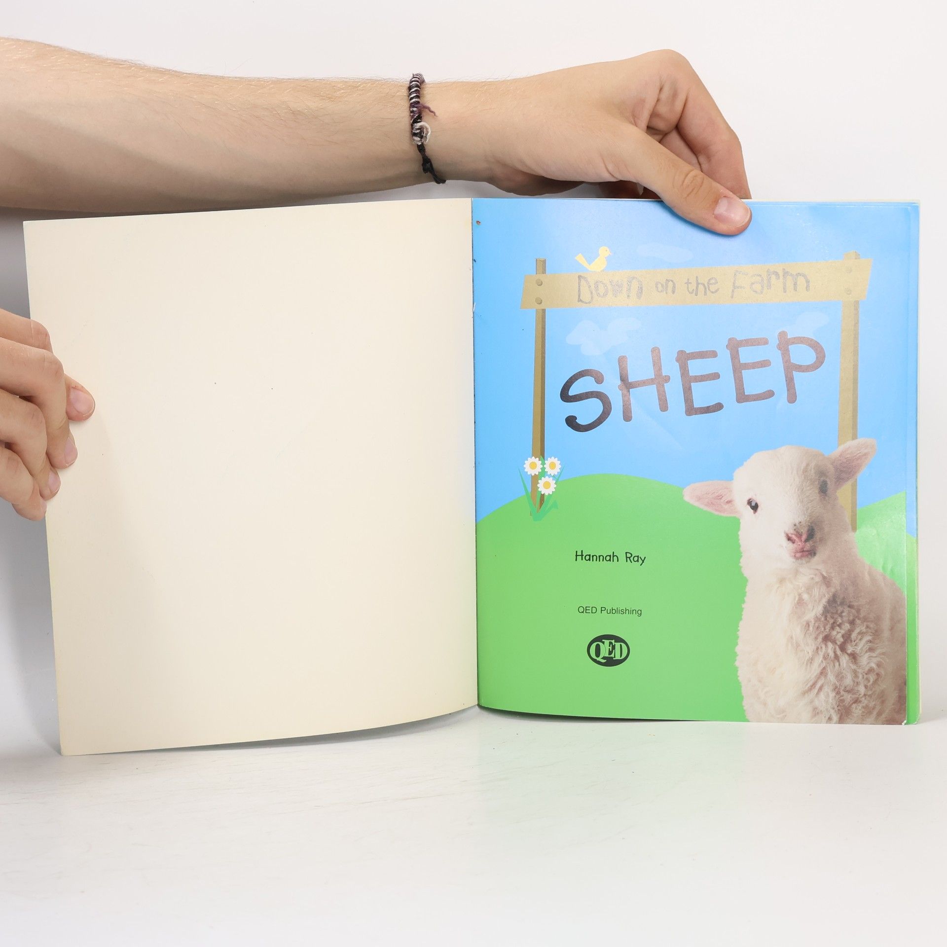 Hannah Ray Down on the Farm - Sheep