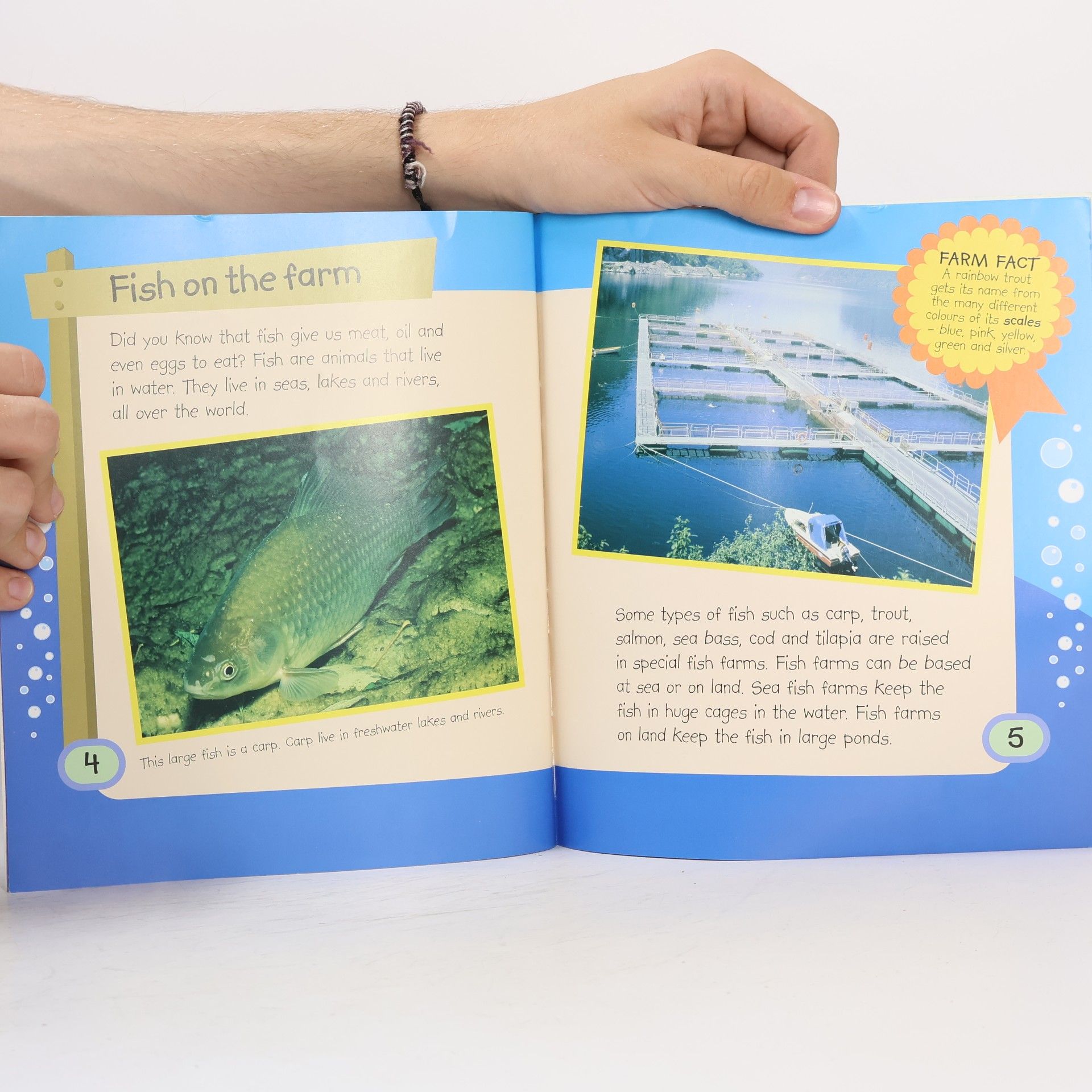 Various authors Down on the Farm - Fish (Down on the Farm)