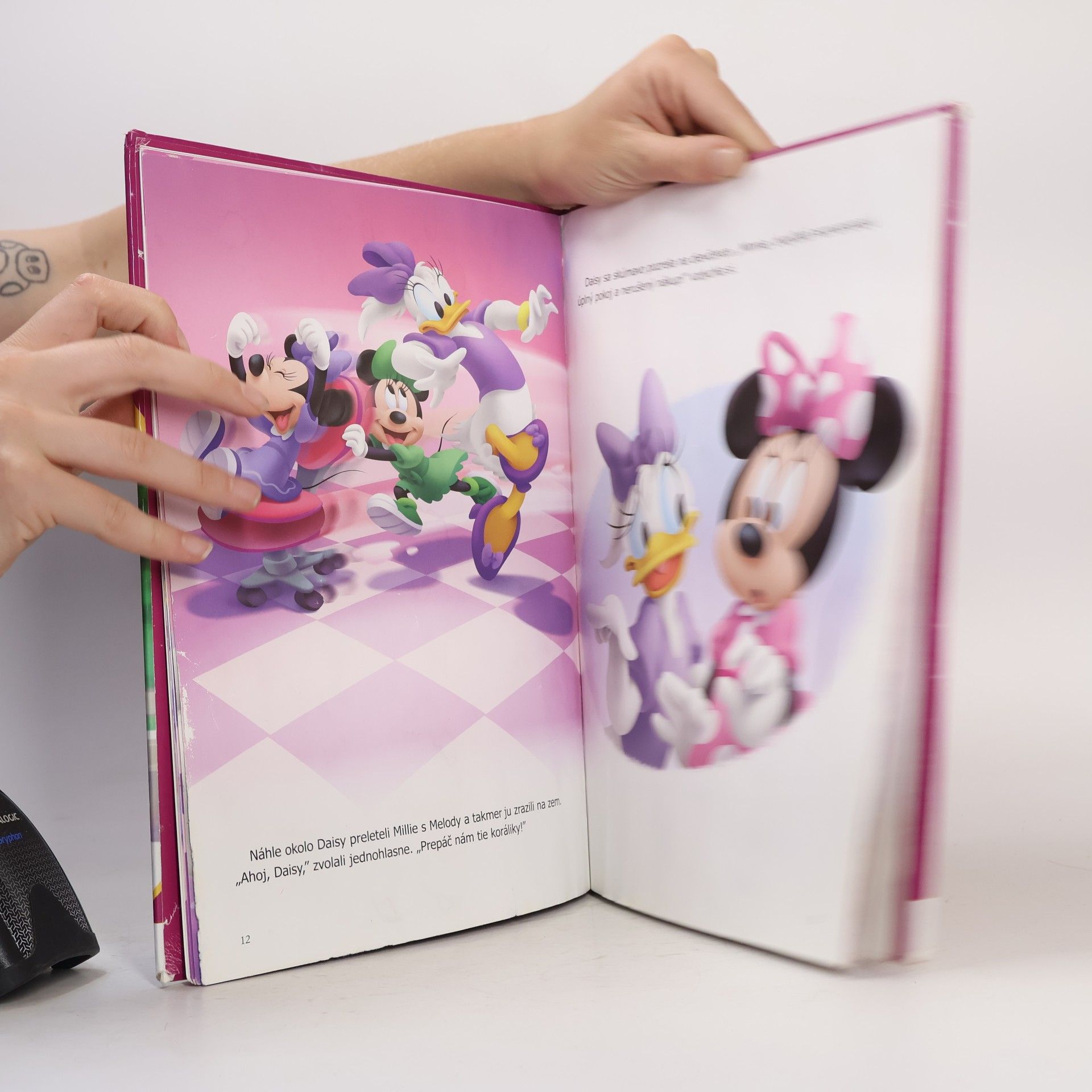 Autorenkollektiv Minnie - Z rozprávky do rozprávky