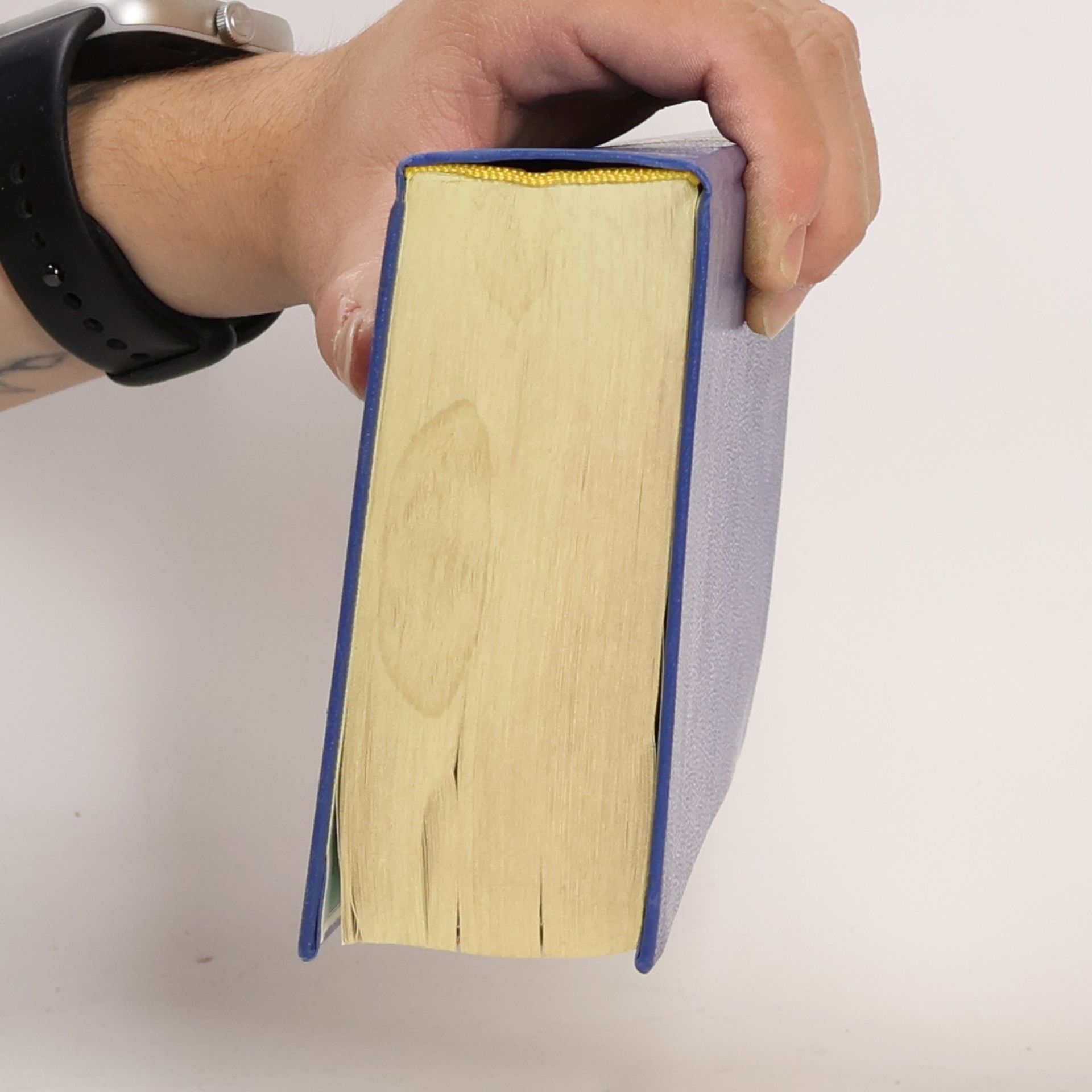 Collectif d'auteurs Die Bibel