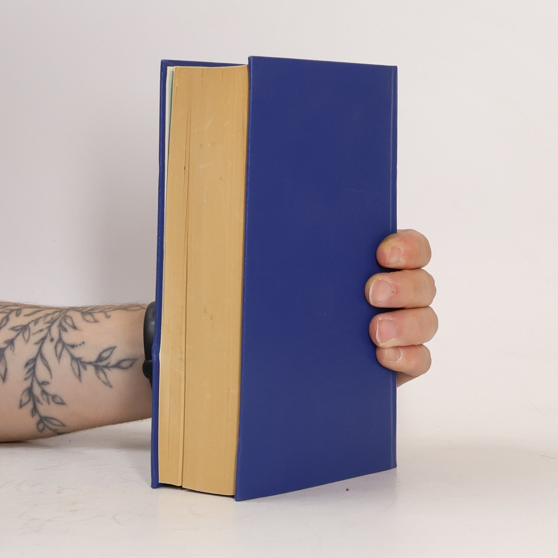 Collectif d'auteurs Die Bibel