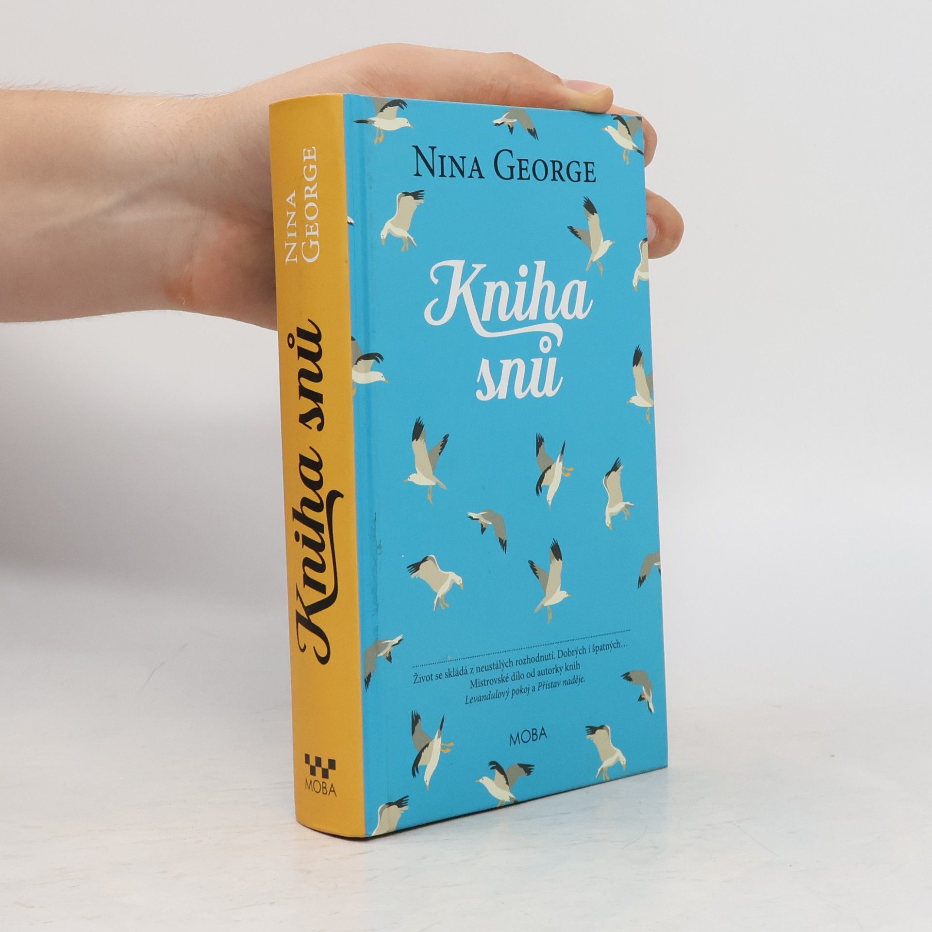 Nina George Kniha snů