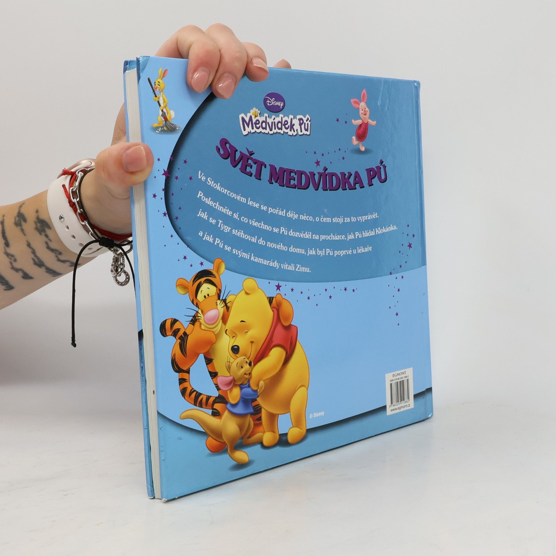 Kolektiv autorů Svět Medvídka Pú : čtení na dobrou noc