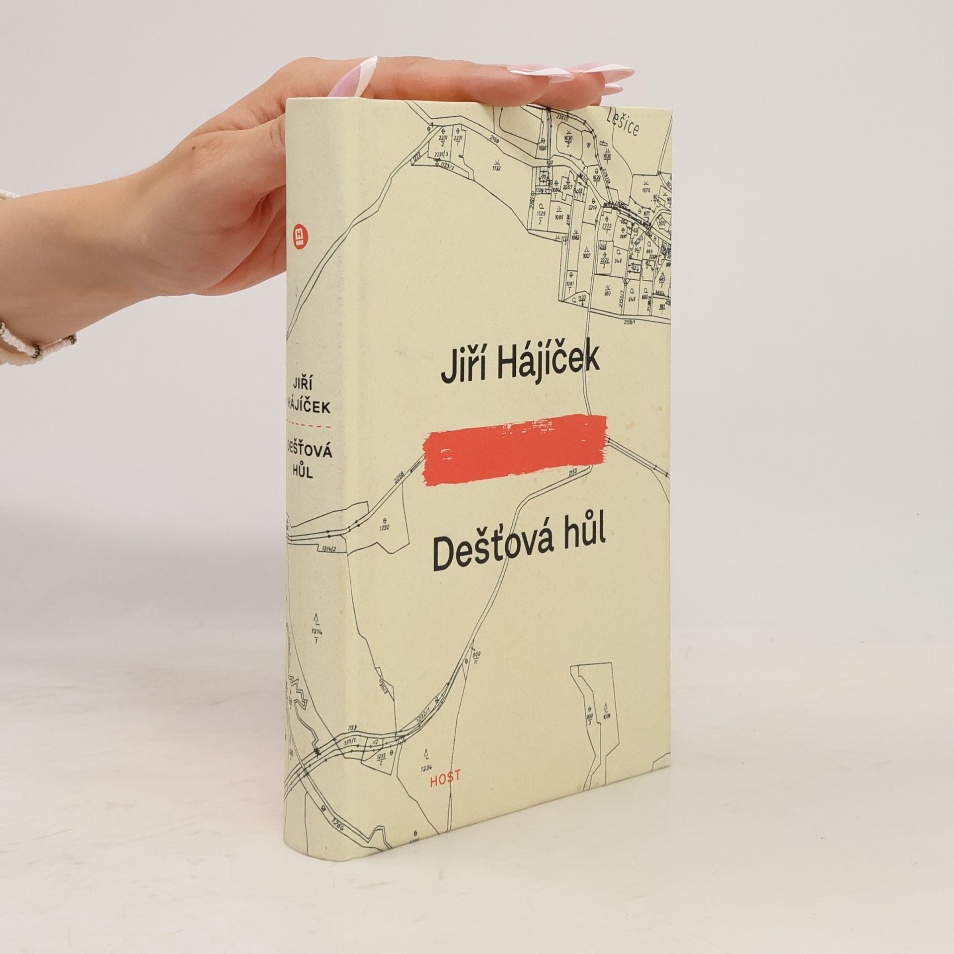 Jiří Hájíček Dešťová hůl