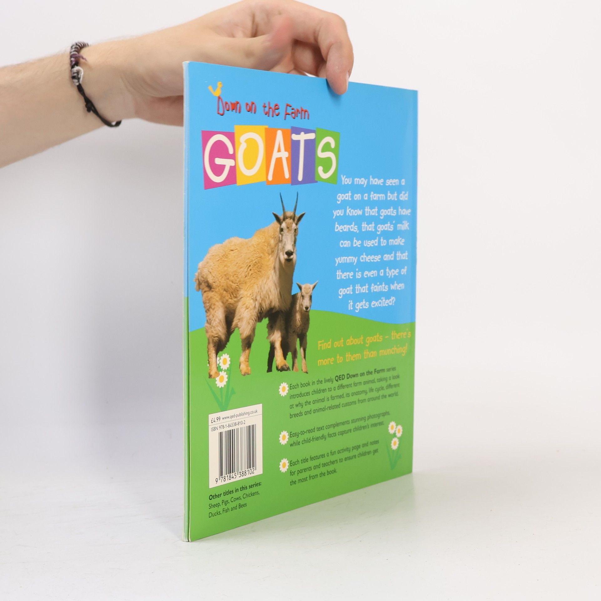 Sally Morgan Goats