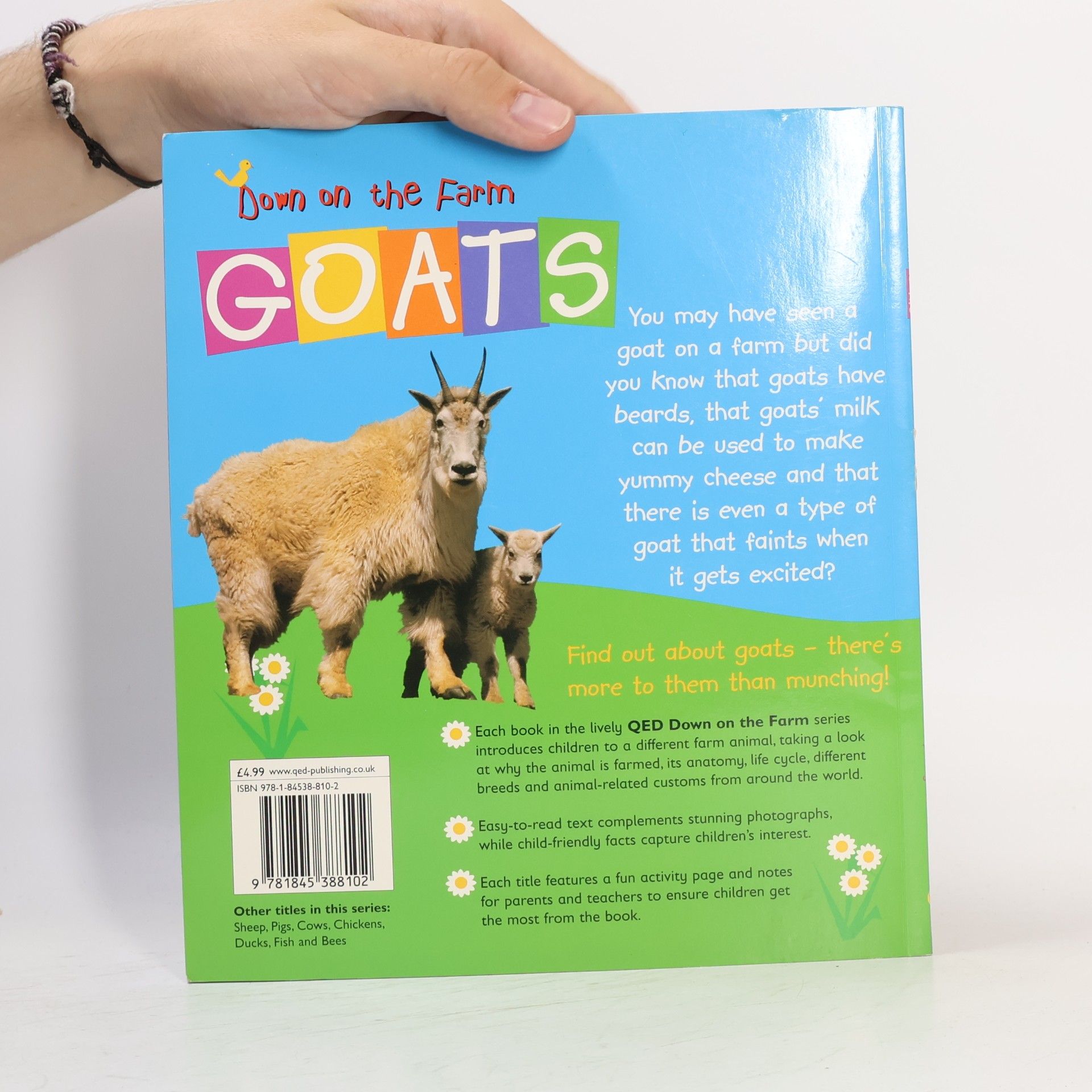 Sally Morgan Goats