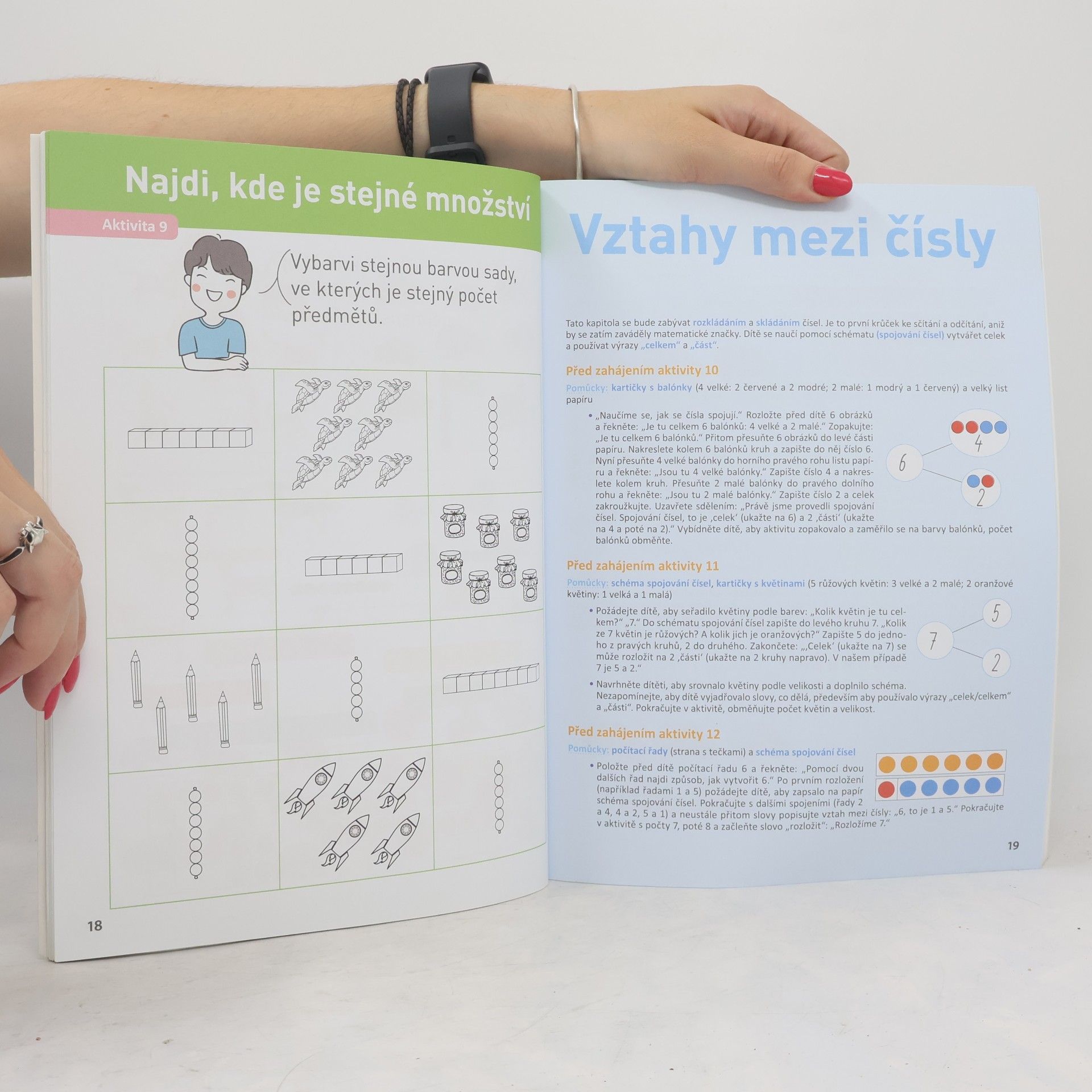 Delphine Urvoy Zvládáme matematiku s Montessori a singapurskou metodou: Rozumíme matematice!
