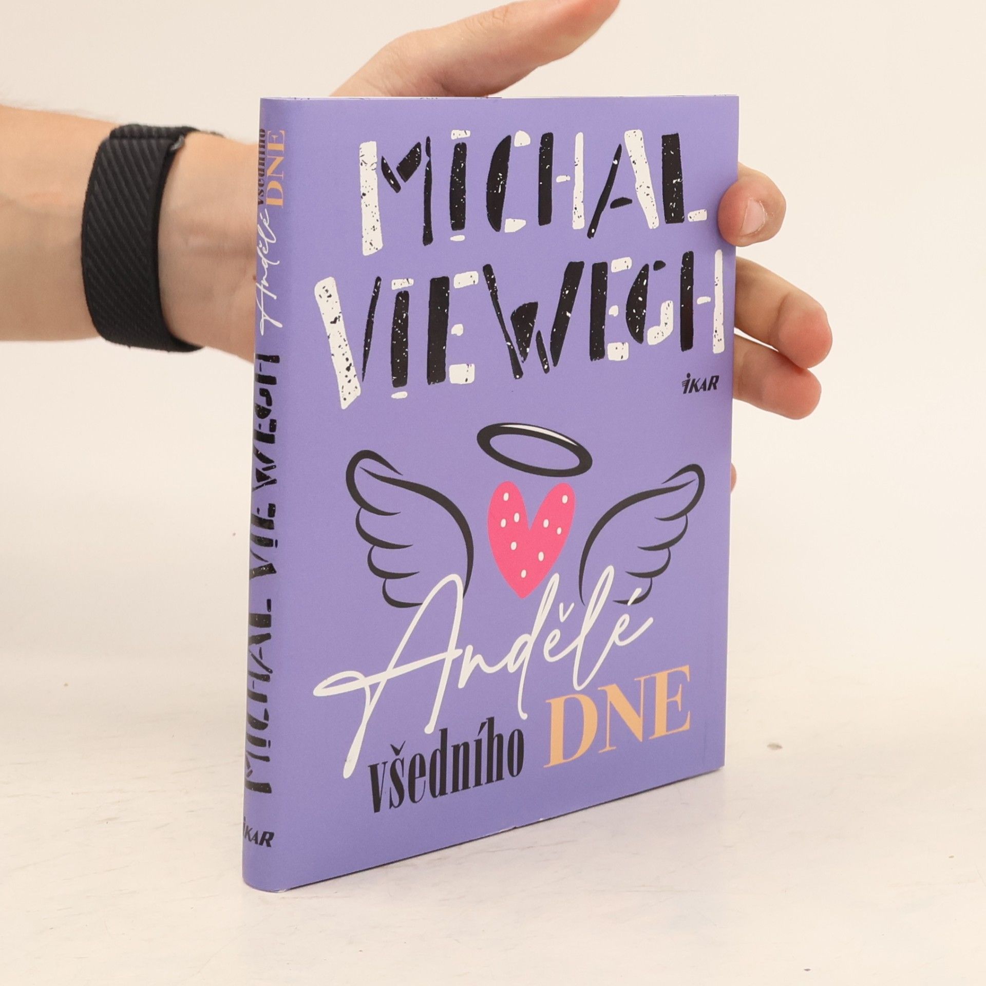 Michal Viewegh Andělé všedního dne