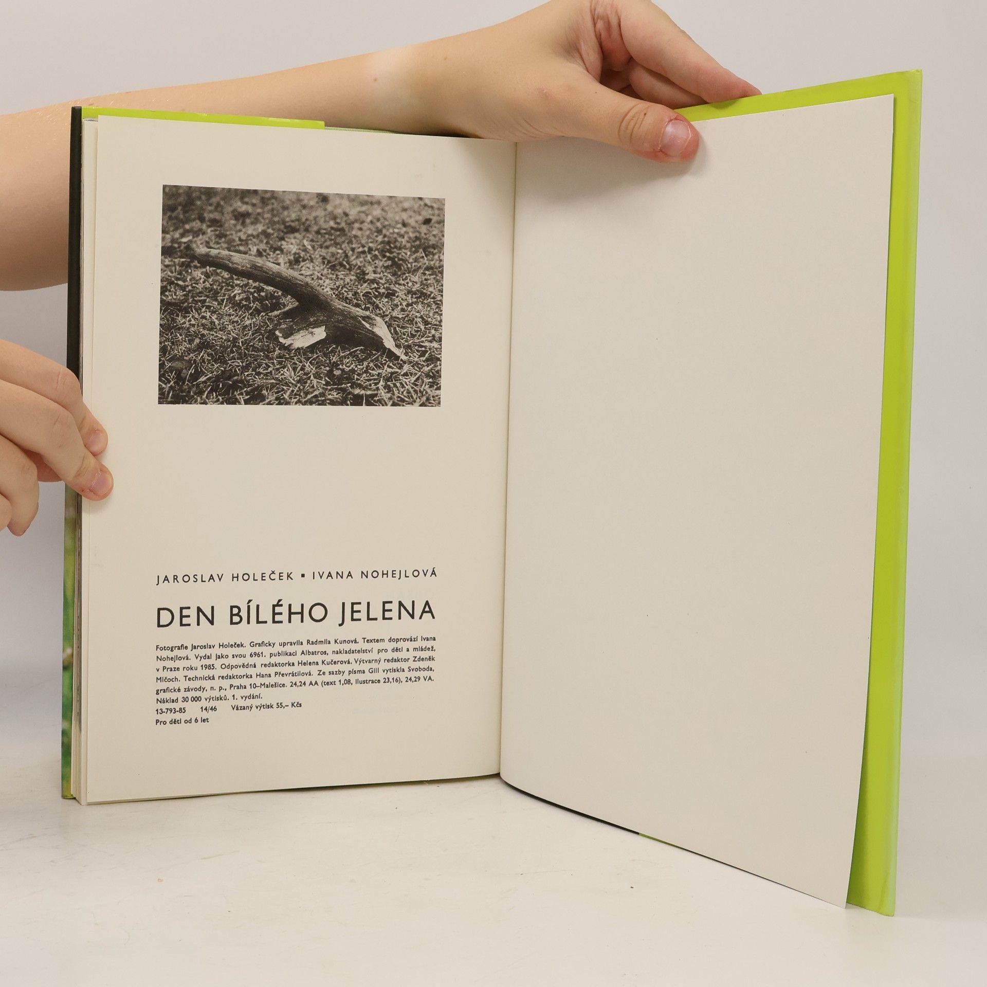 Jaroslav Holeček Den bílého jelena