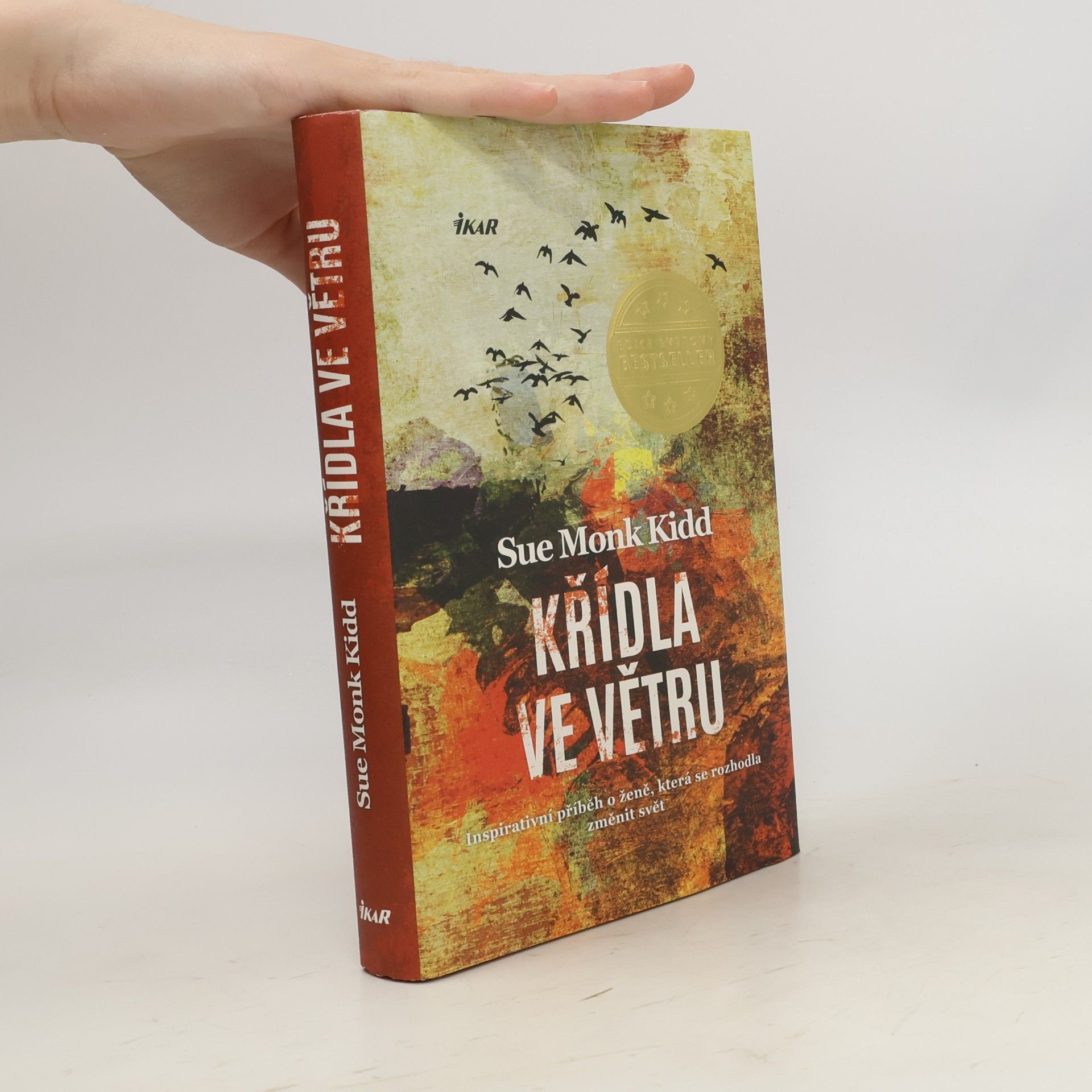 Sue Monk Kidd Křídla ve větru