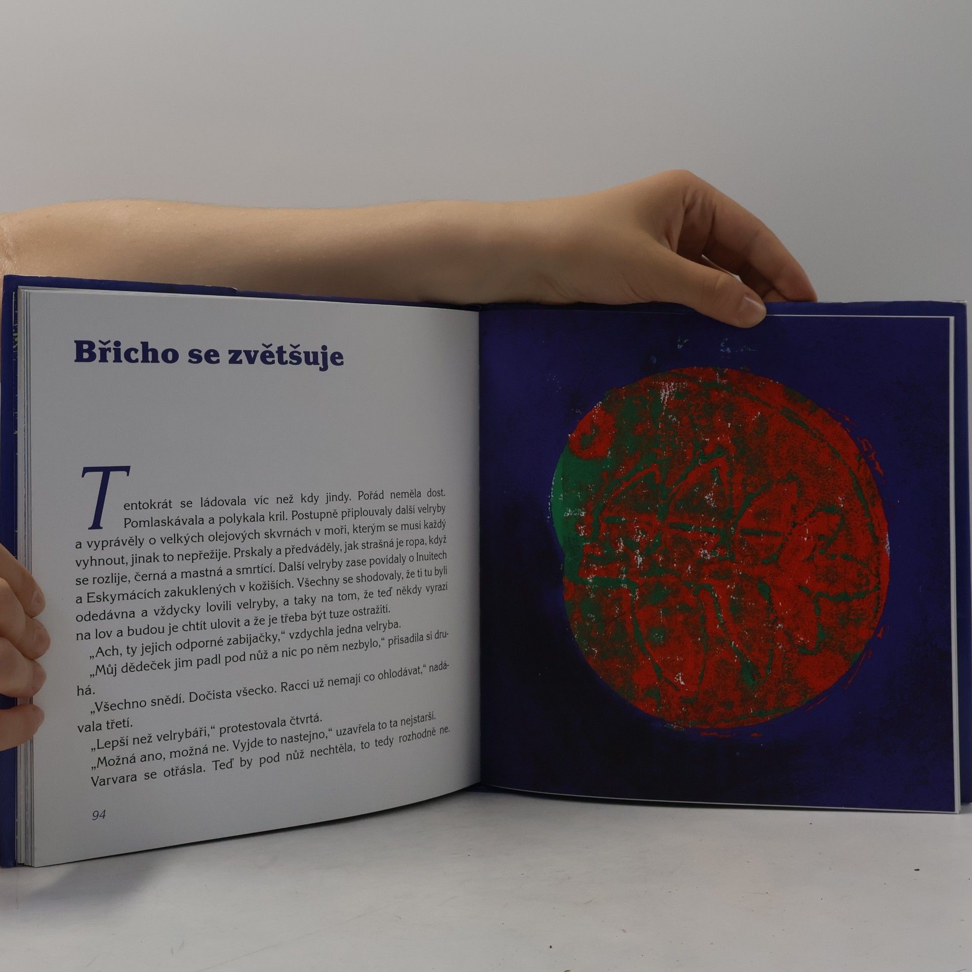 Marka Míková Varvara: kniha o velrybím putování