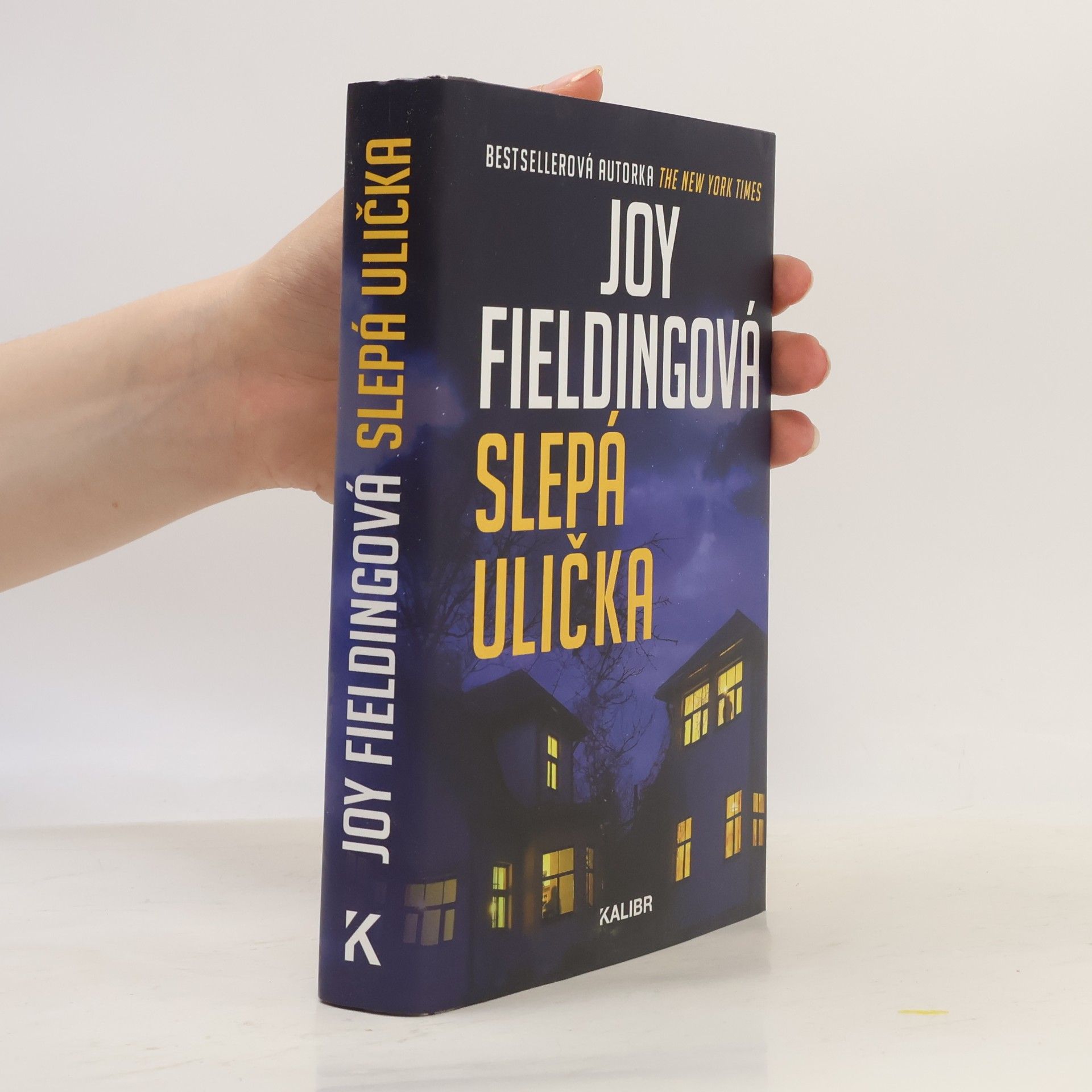 Joy Fielding Slepá ulička