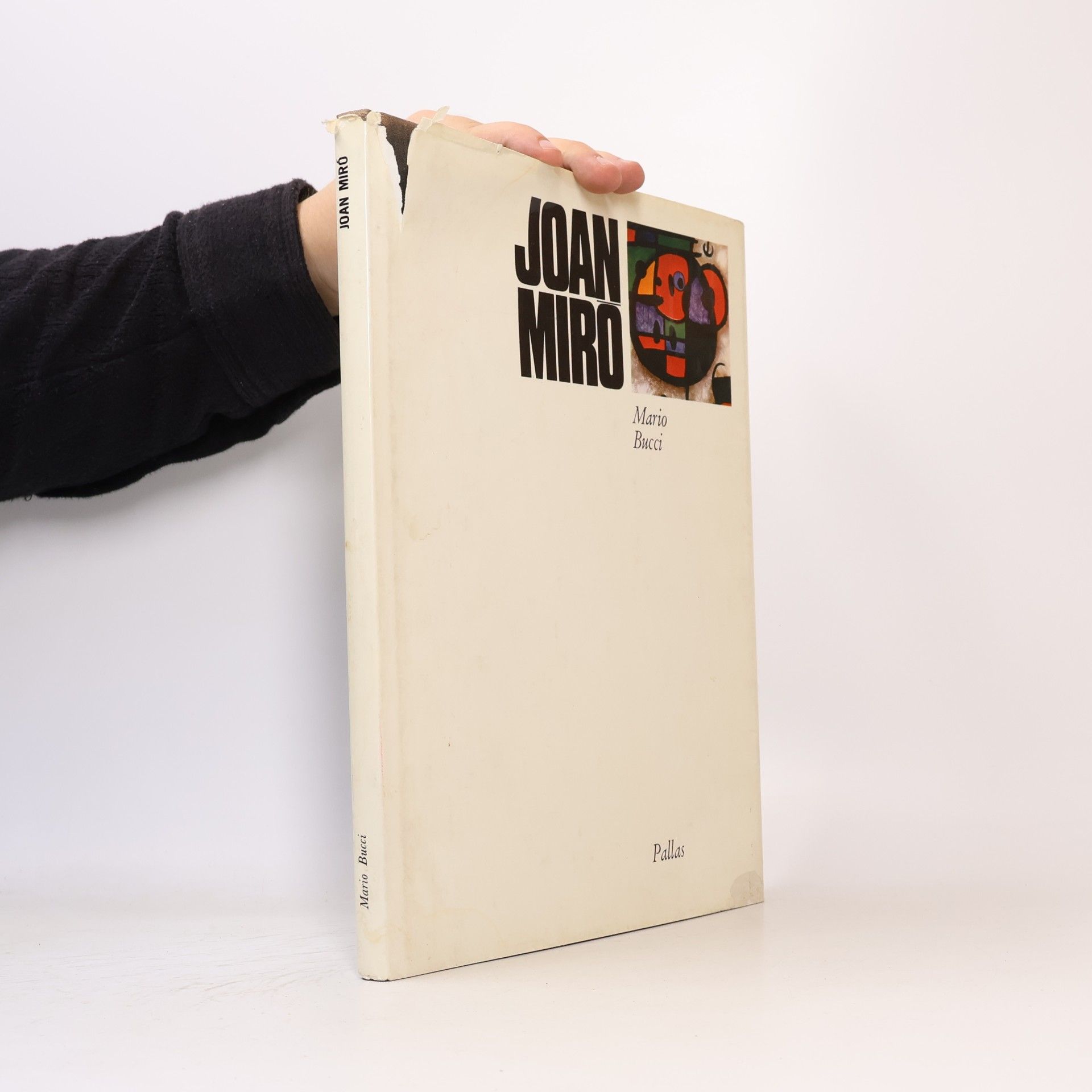 Mario Bucci Joan Miró