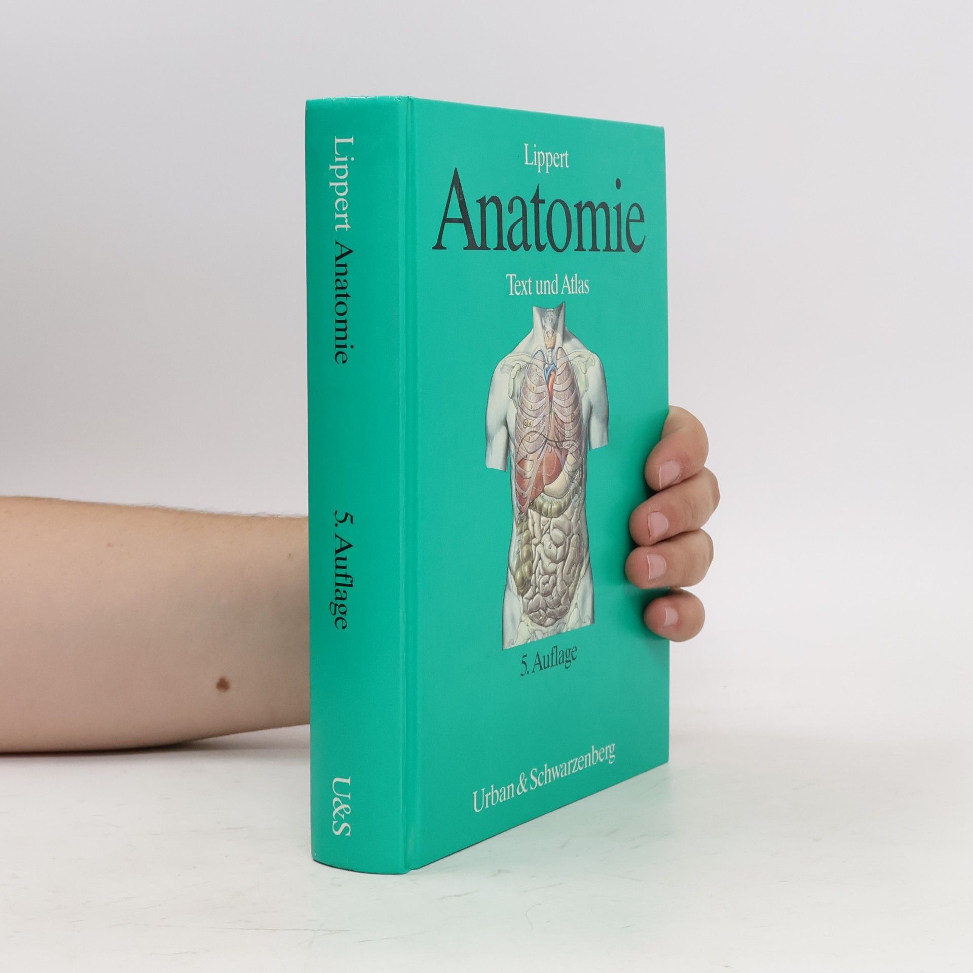 Herbert Lippert Anatomie