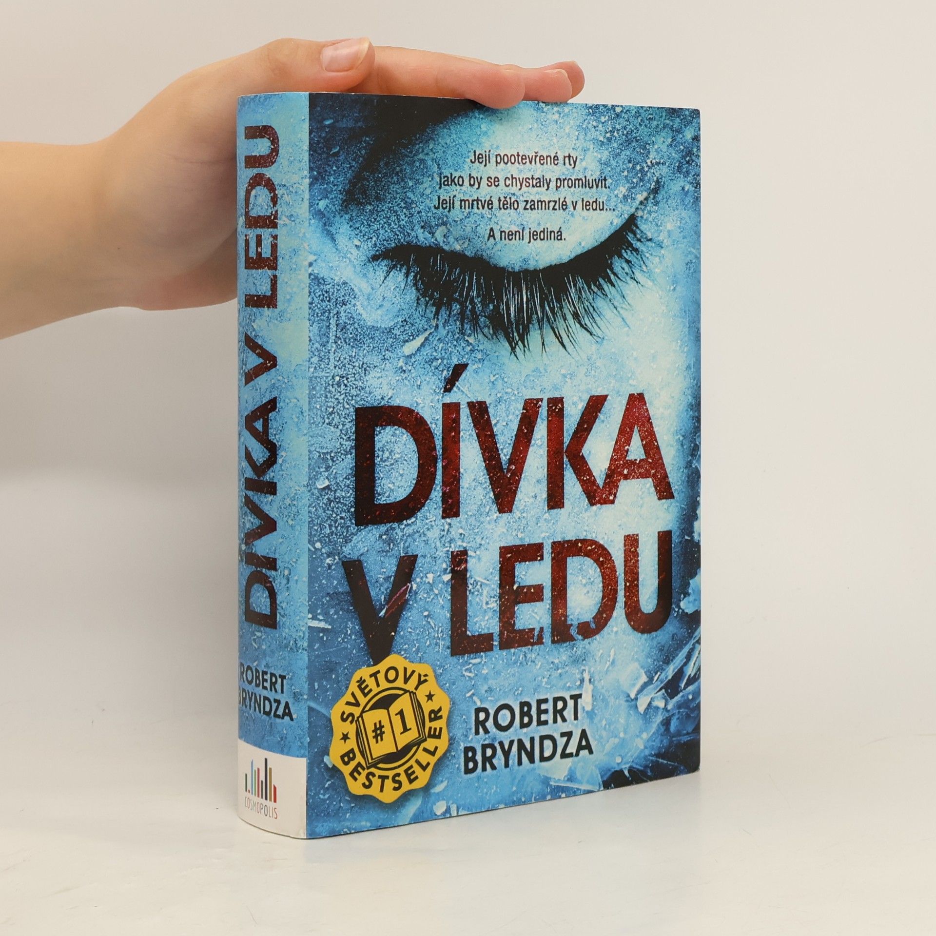 Robert Bryndza Dívka v ledu