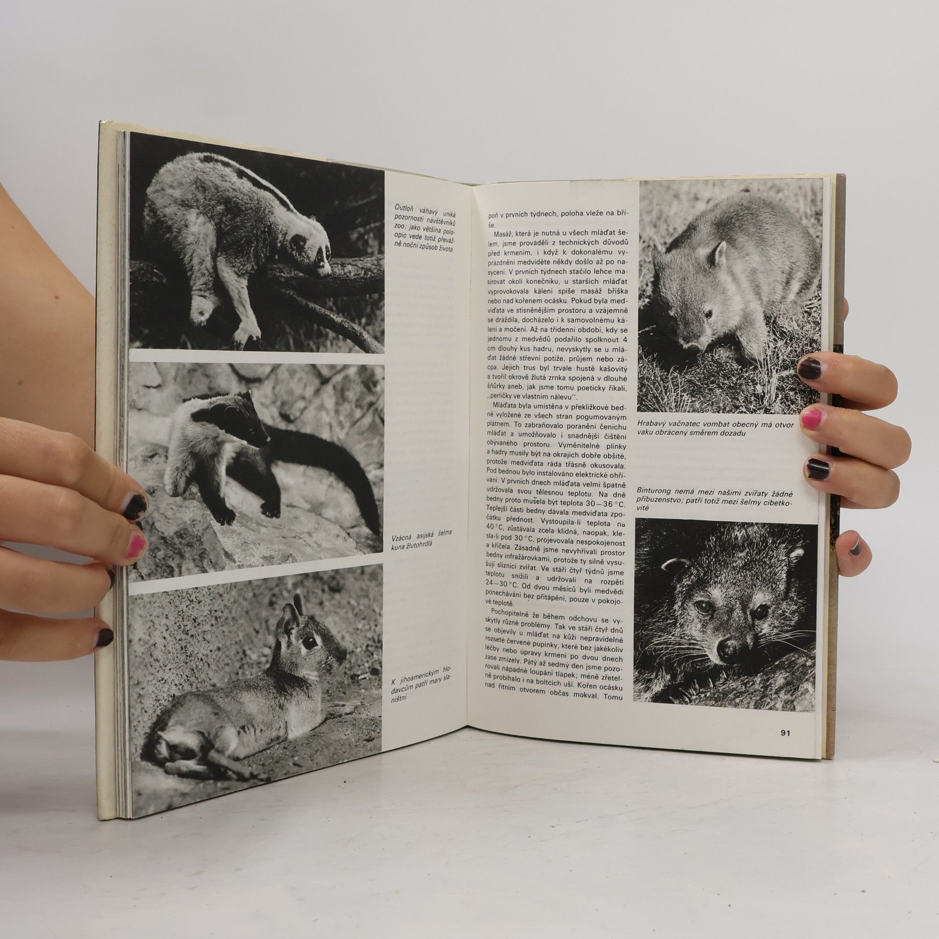 Z. Veselovský Všední den v pražské ZOO