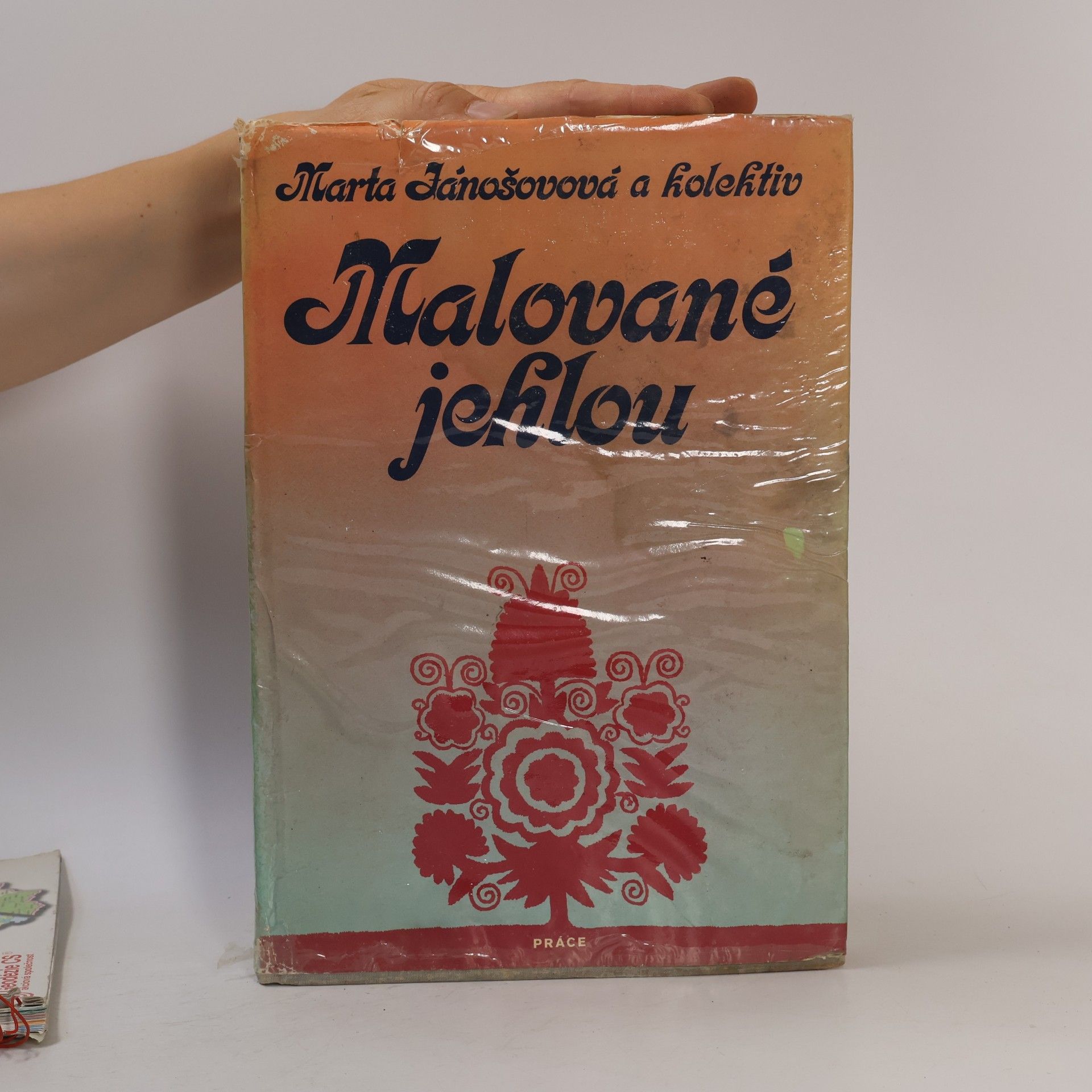 Marta Jánošovová Malované jehlou